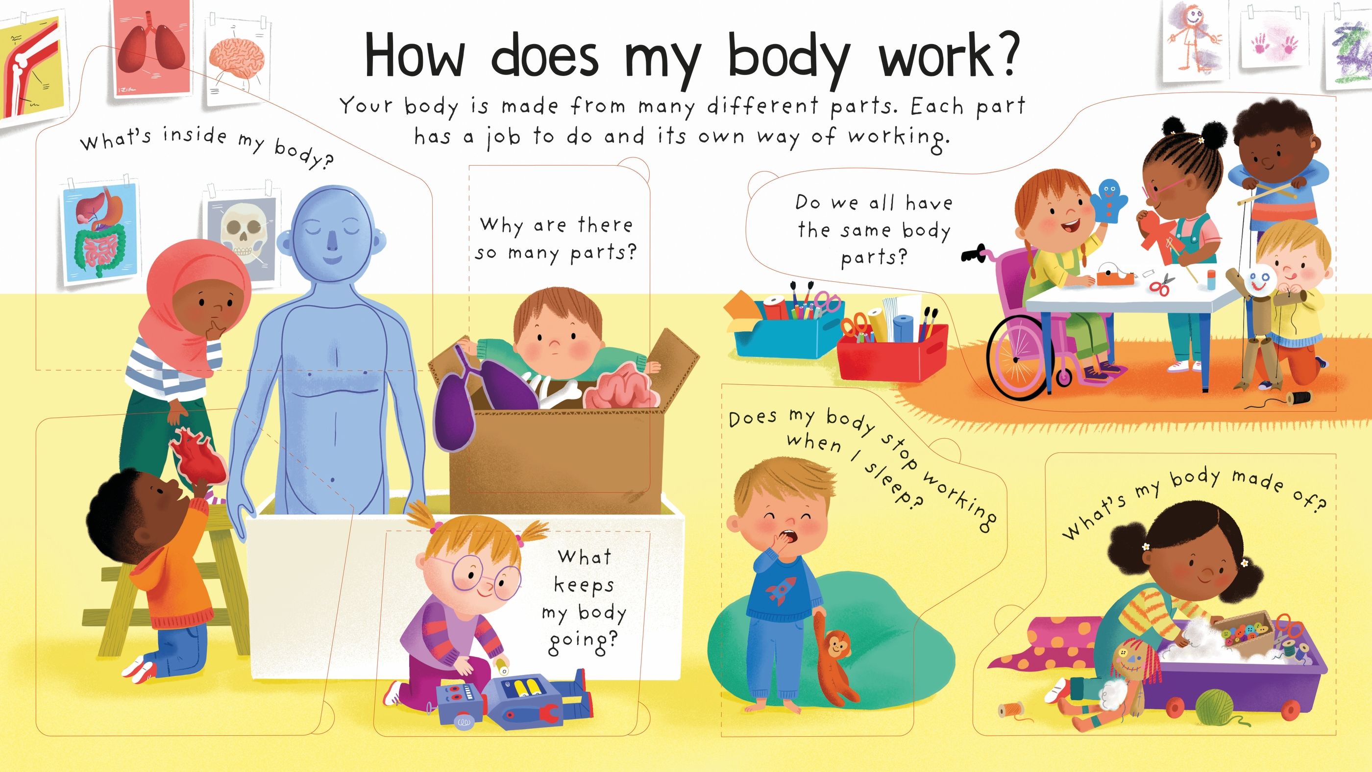 lift the flap first questions and answers - how does my body work?