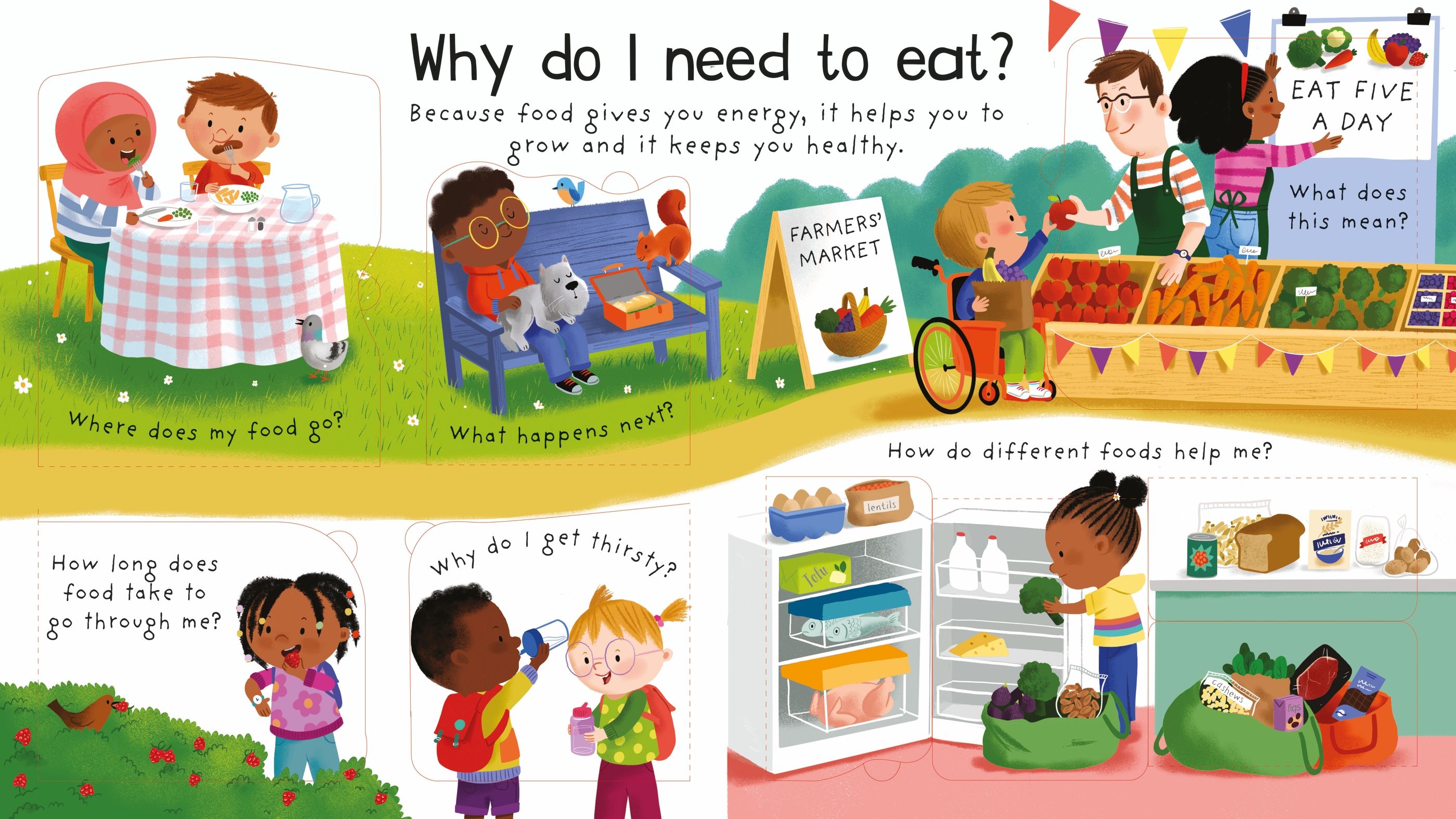 lift the flap first questions and answers - how does my body work?