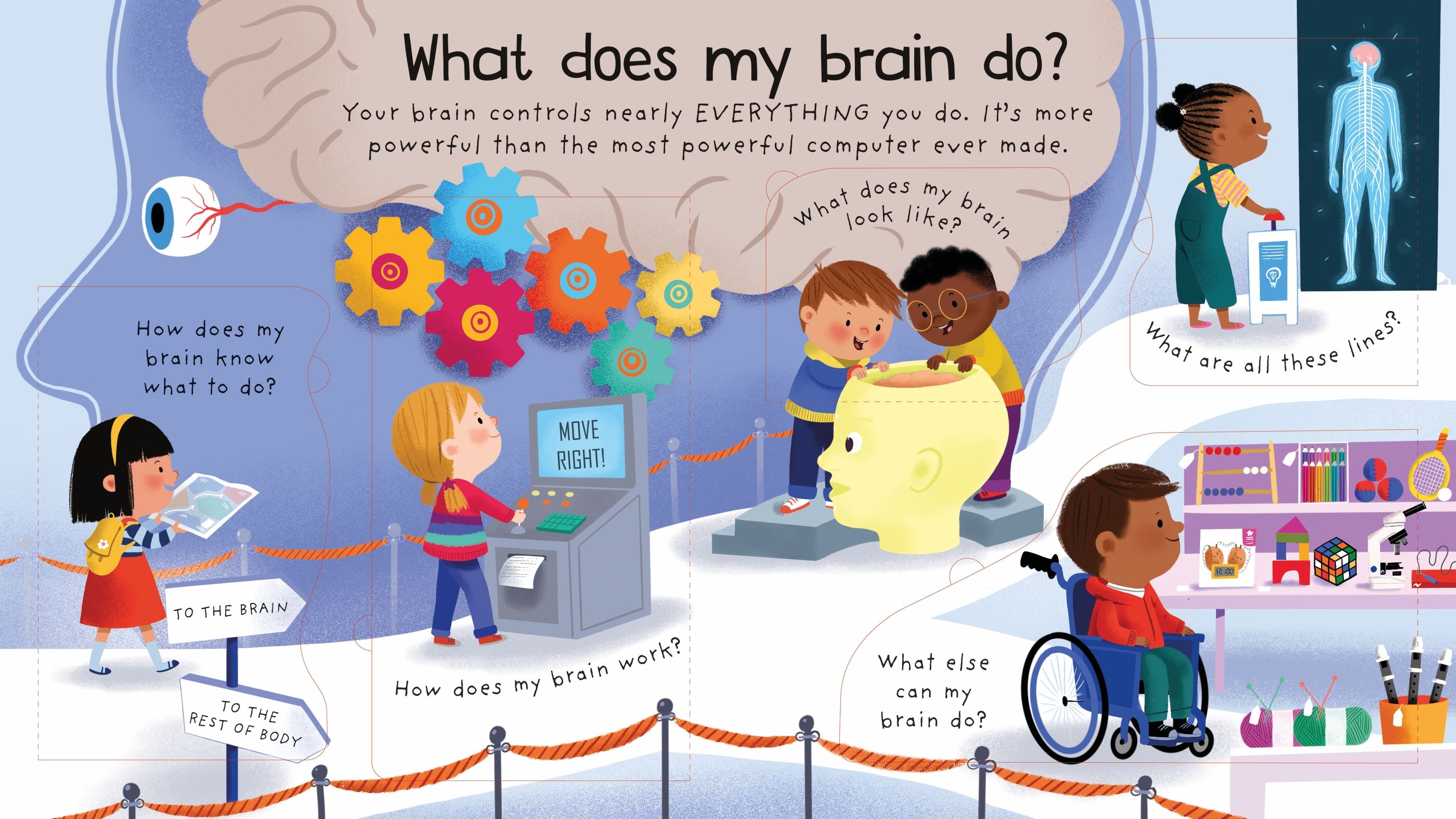 lift the flap first questions and answers - how does my body work?