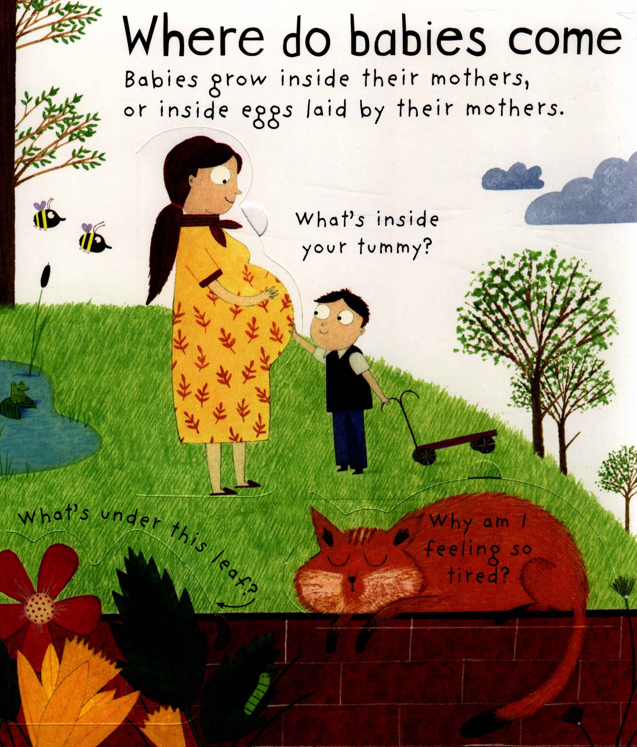 lift-the-flap first questions and answers where do babies come from?