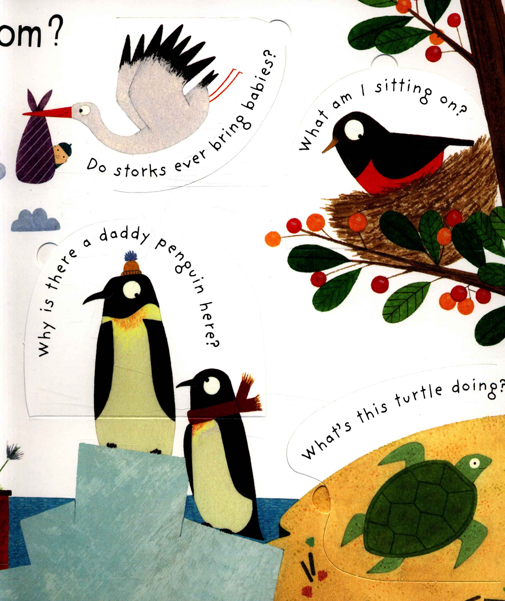 lift-the-flap first questions and answers where do babies come from?