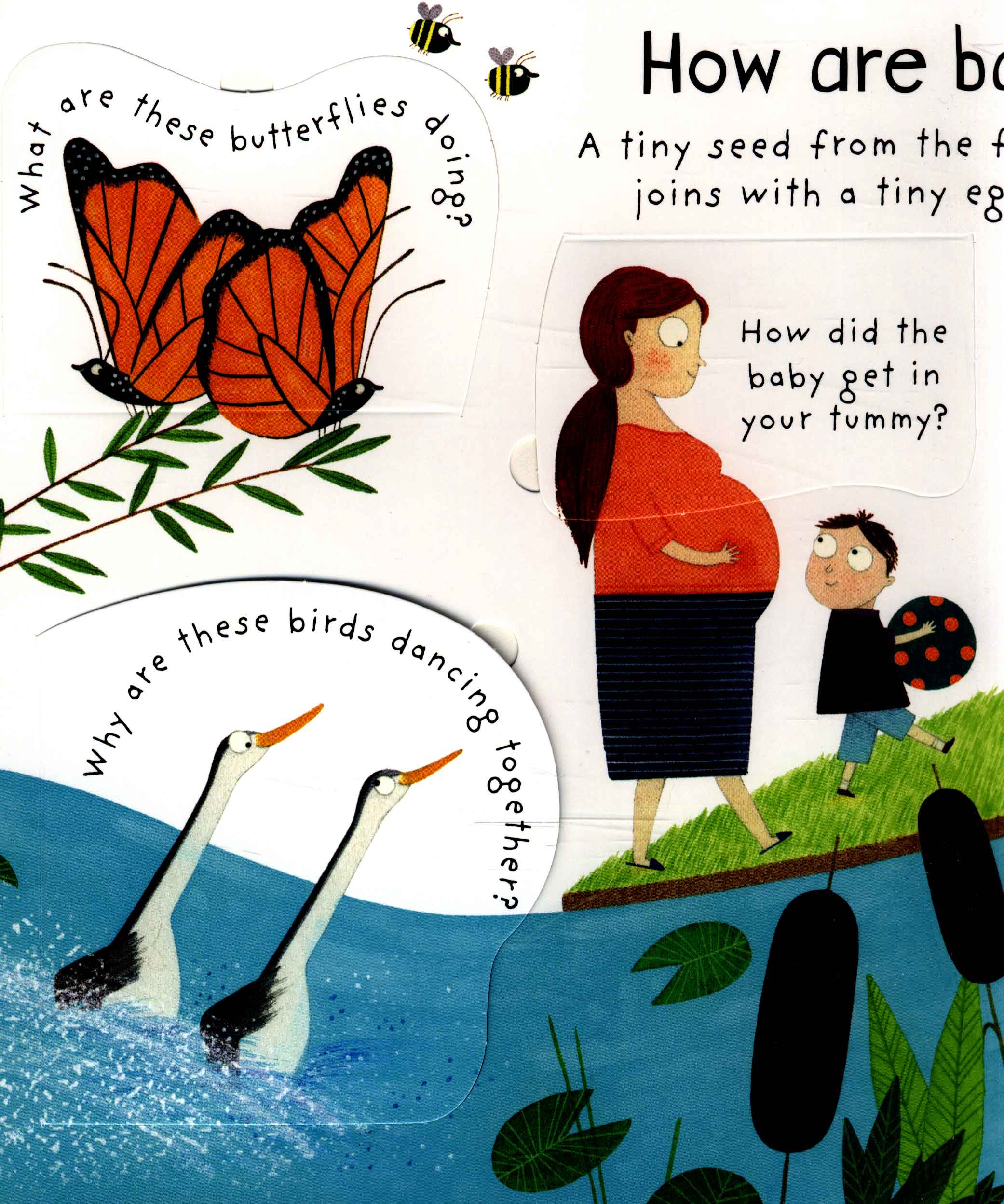 lift-the-flap first questions and answers where do babies come from?