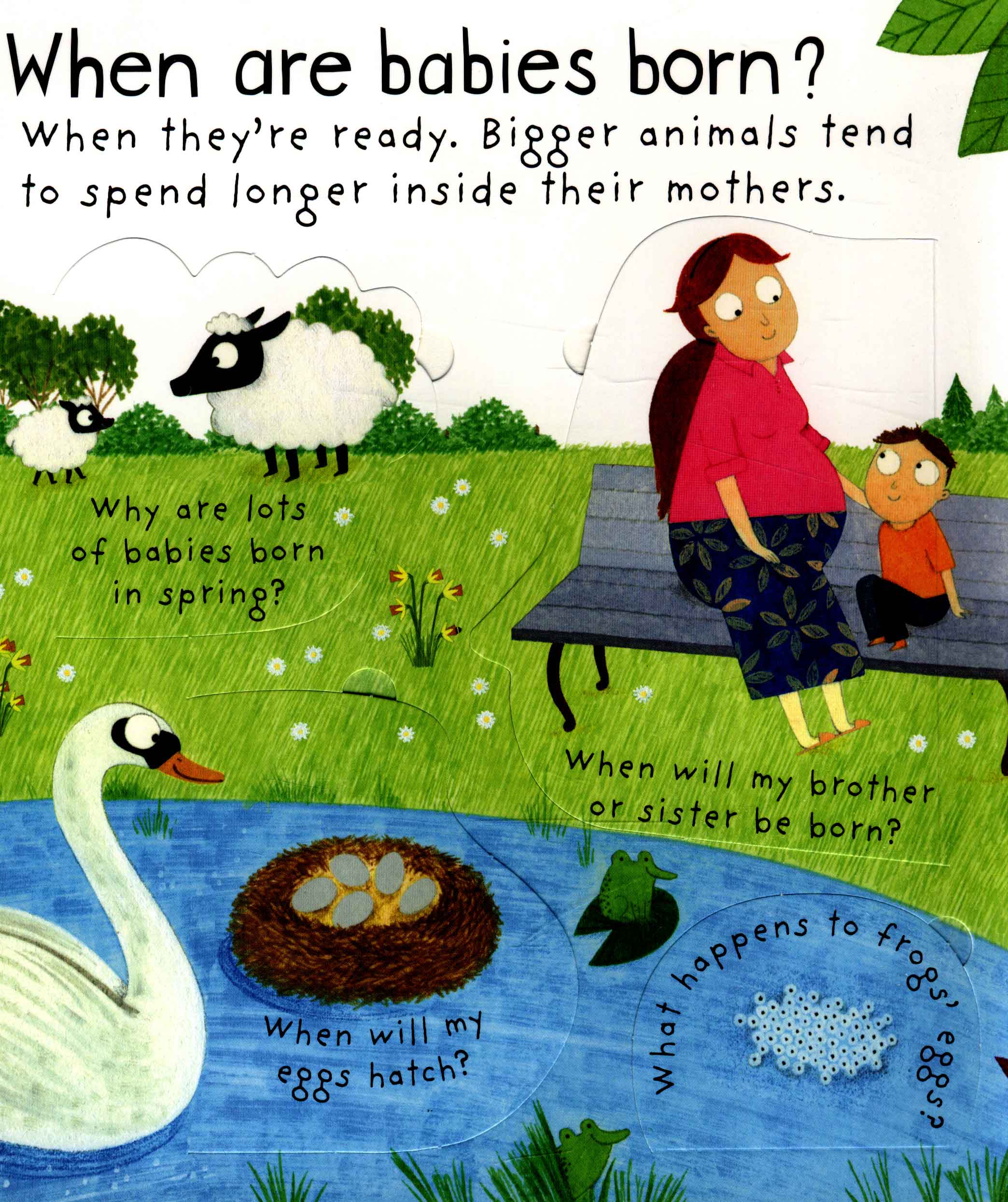 lift-the-flap first questions and answers where do babies come from?