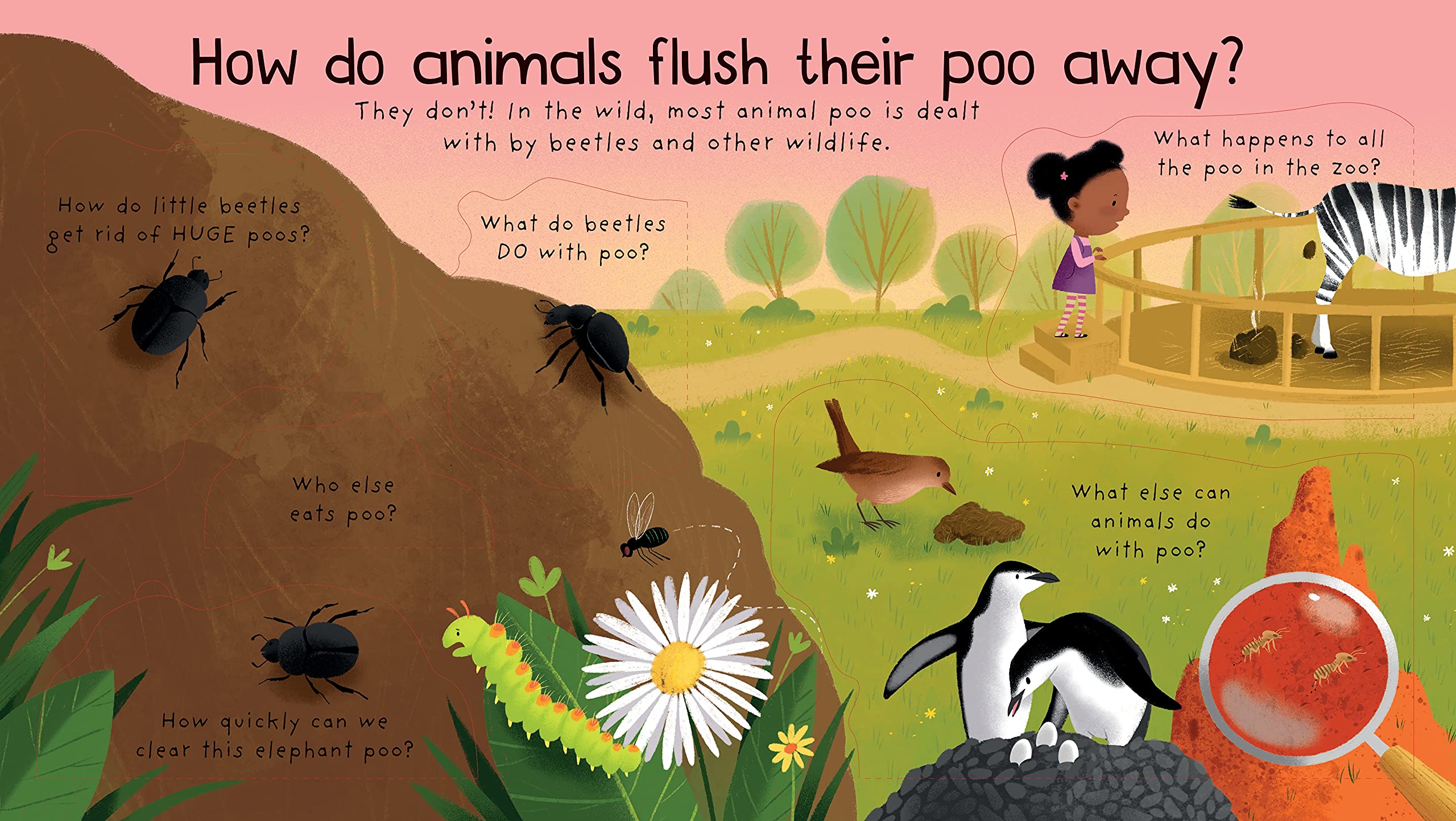 lift-the-flap first questions and answers where does poo go?