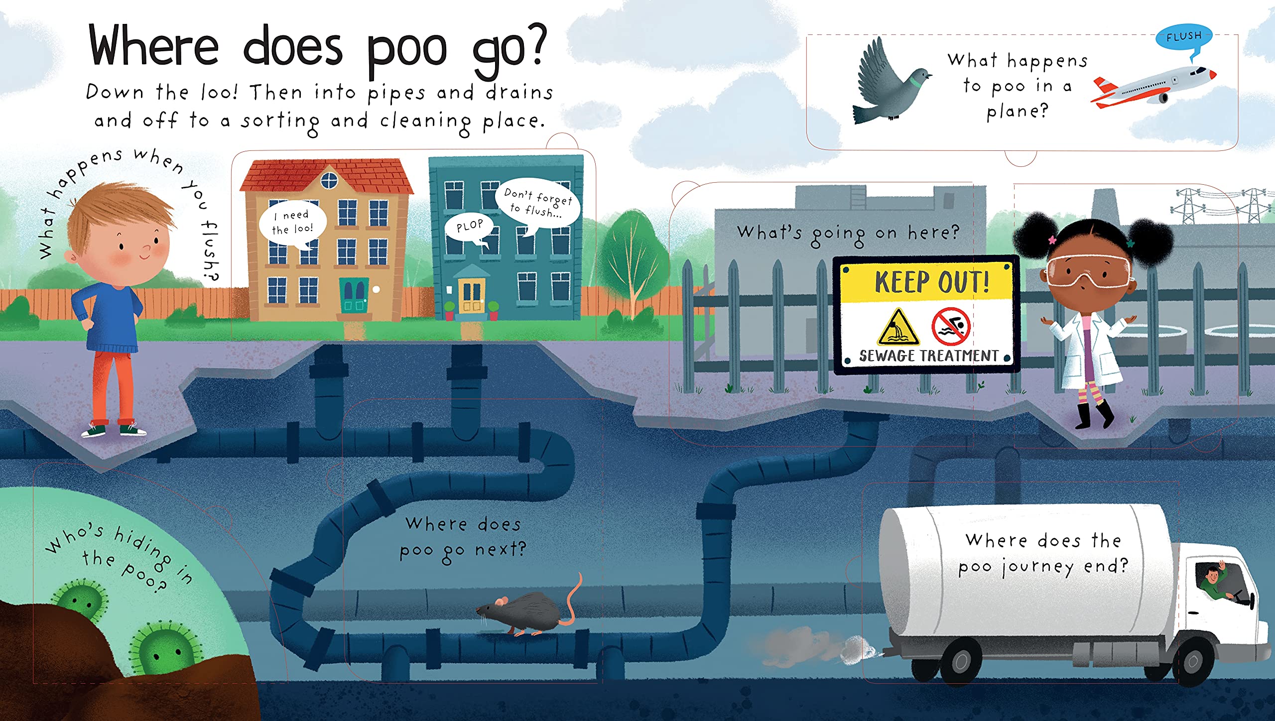 lift-the-flap first questions and answers where does poo go?