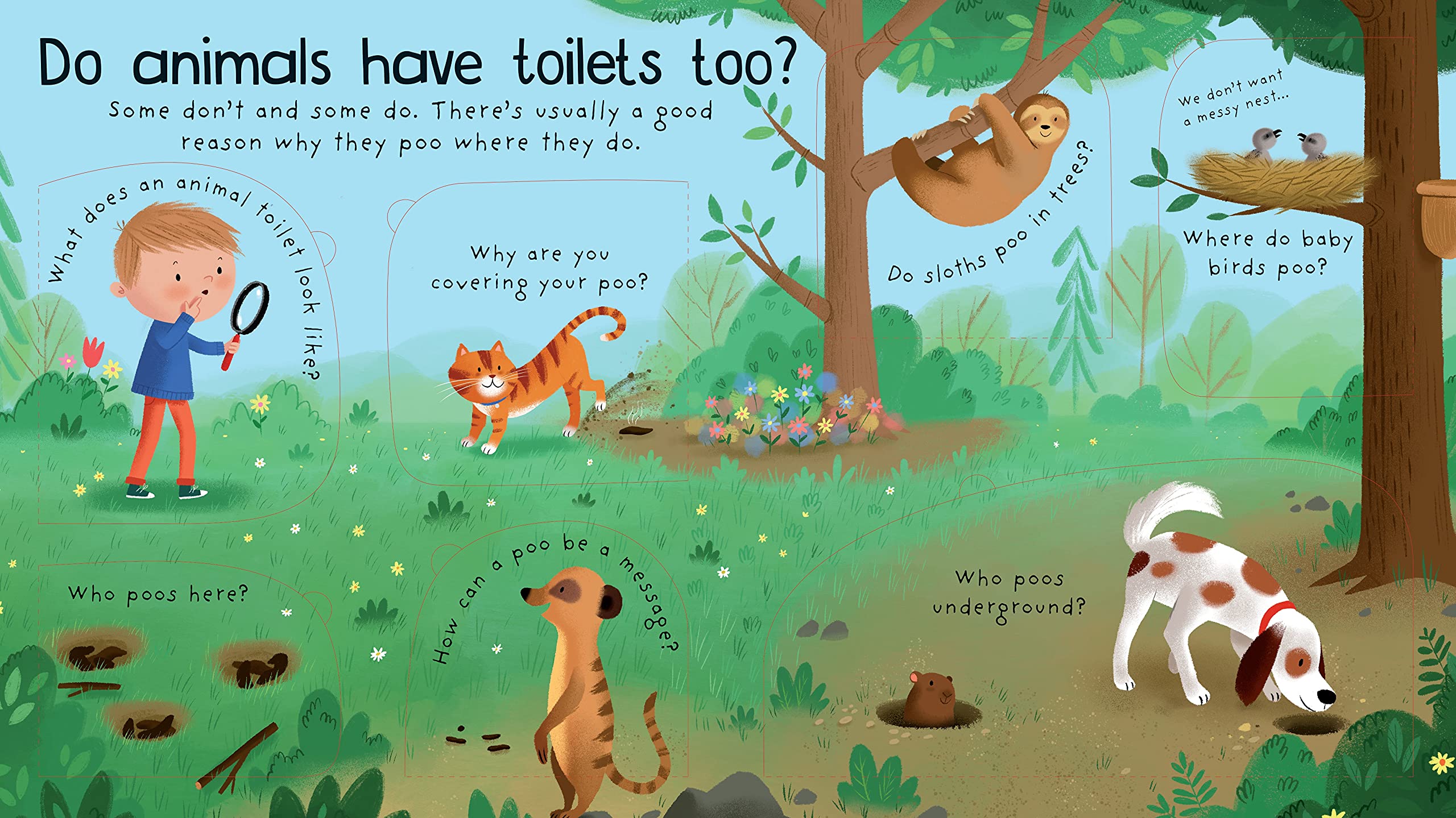 lift-the-flap first questions and answers where does poo go?