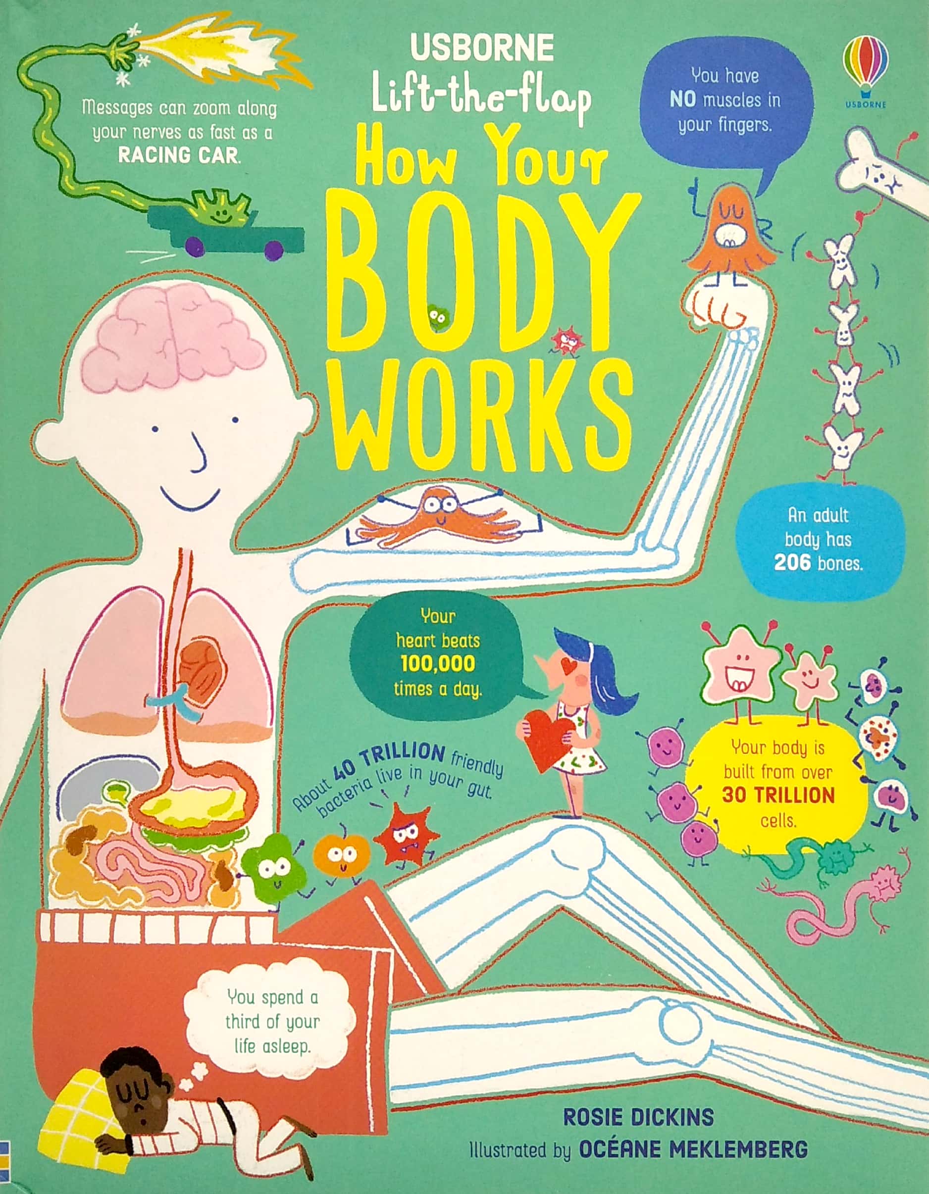 lift-the-flap how your body works