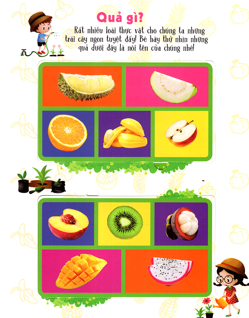 lift-the-flap-lật mở khám phá - first 100 plants - 100 từ đầu tiên về thế giới thực vật (tái bản 2018)