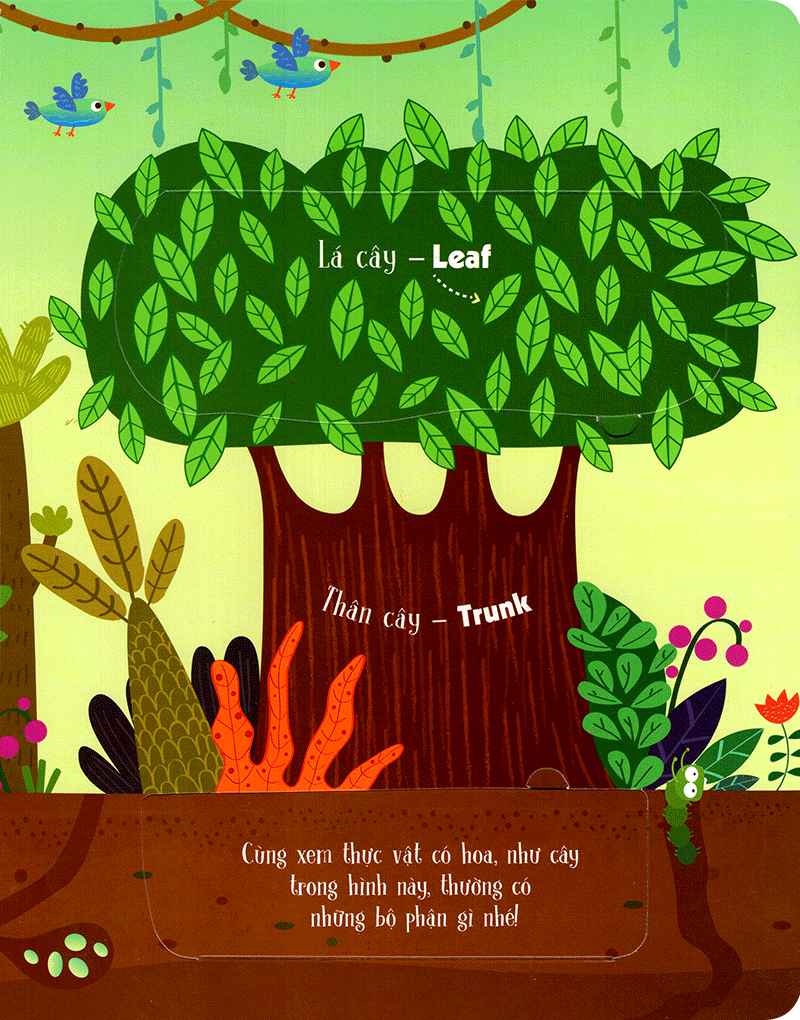 lift-the-flap-lật mở khám phá - first 100 plants - 100 từ đầu tiên về thế giới thực vật (tái bản 2018)