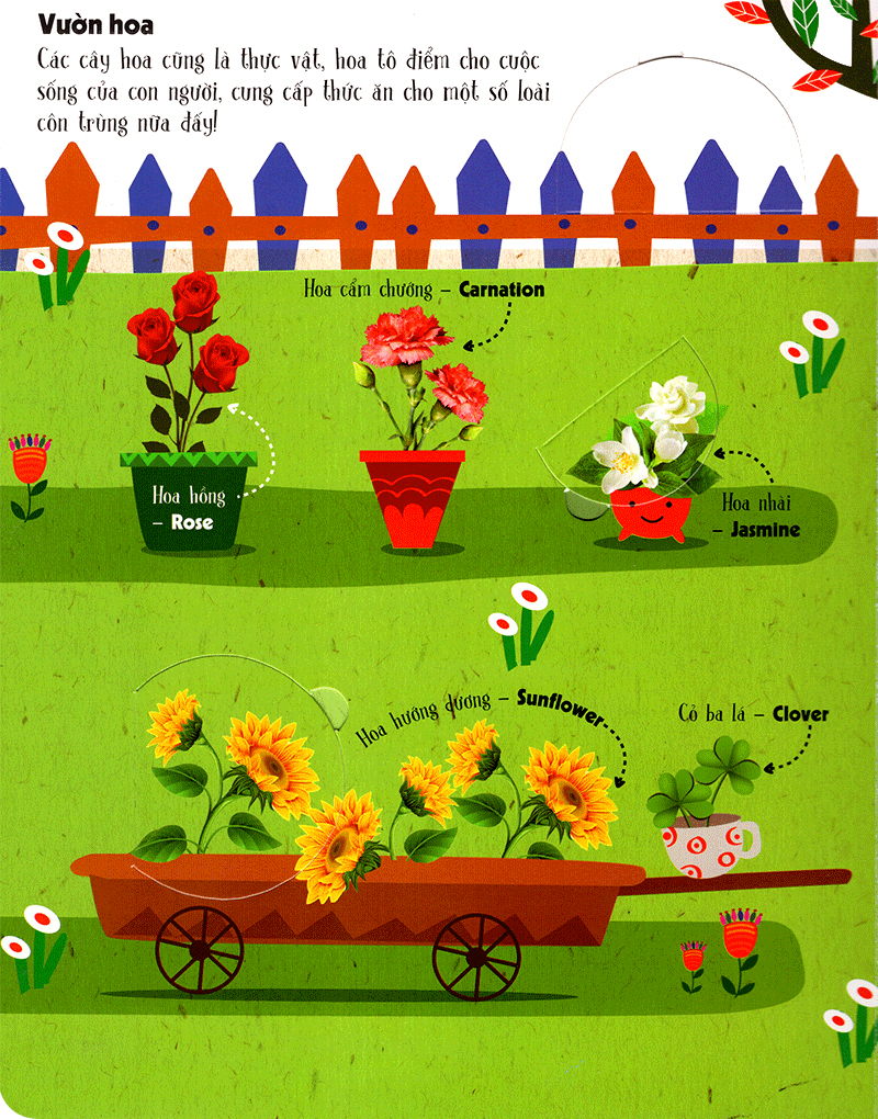 lift-the-flap-lật mở khám phá - first 100 plants - 100 từ đầu tiên về thế giới thực vật (tái bản 2018)