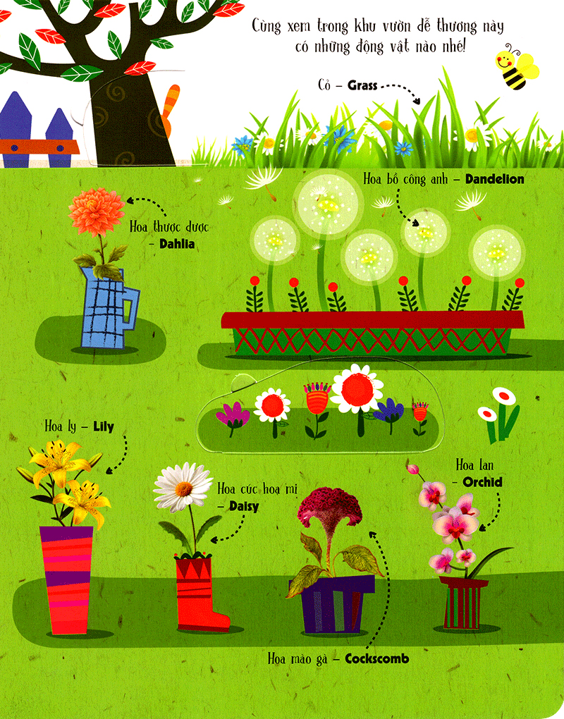 lift-the-flap-lật mở khám phá - first 100 plants - 100 từ đầu tiên về thế giới thực vật (tái bản 2018)