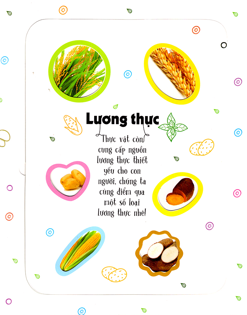 lift-the-flap-lật mở khám phá - first 100 plants - 100 từ đầu tiên về thế giới thực vật (tái bản 2018)