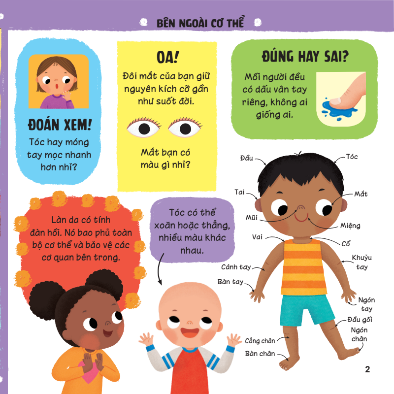 lift-the-flap - lật mở khám phá - những kiến thức đầu đời - cơ thể tuyệt diệu