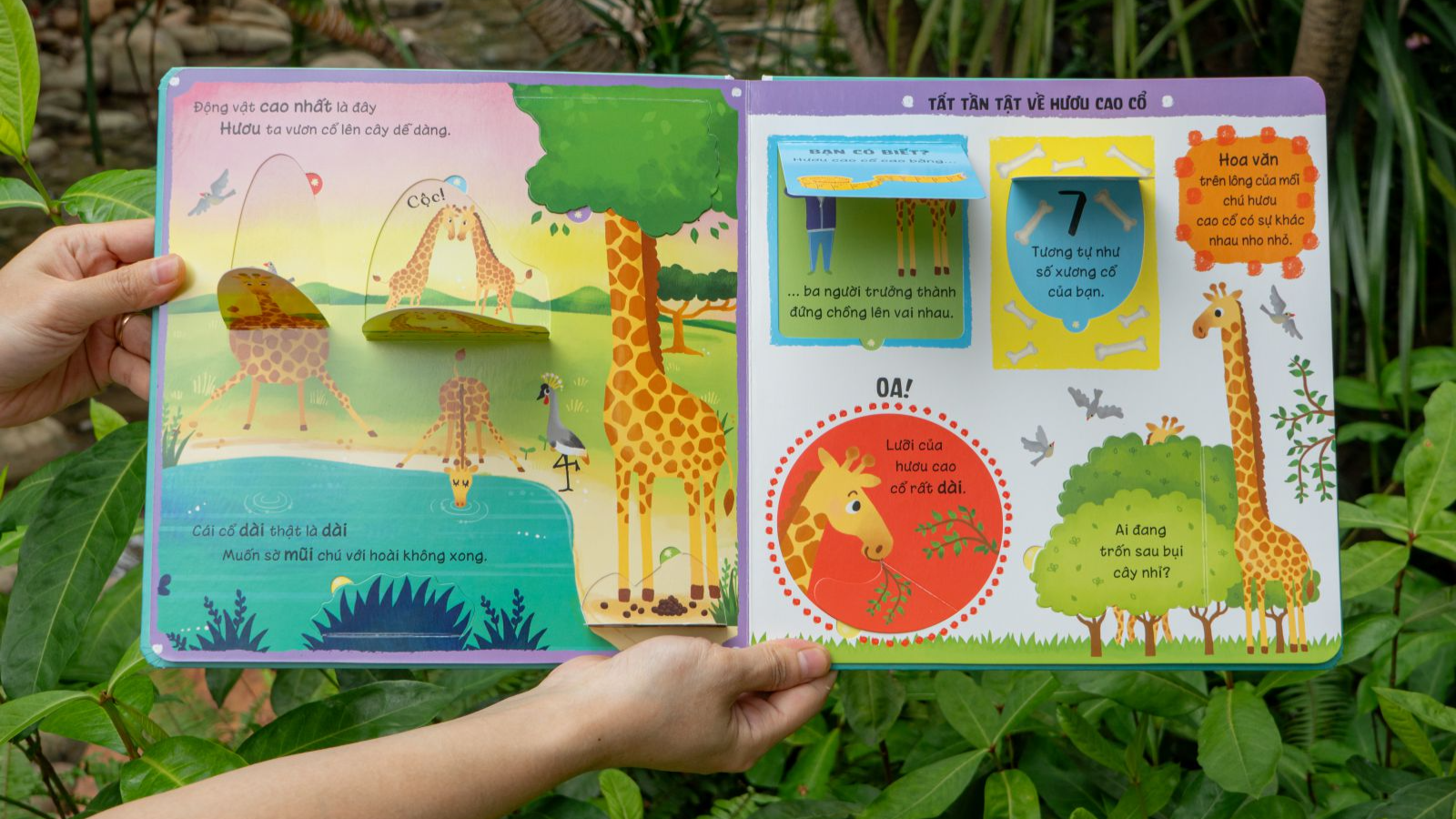 lift-the-flap - lật mở khám phá - những kiến thức đầu đời - những loài vật đáng kinh ngạc