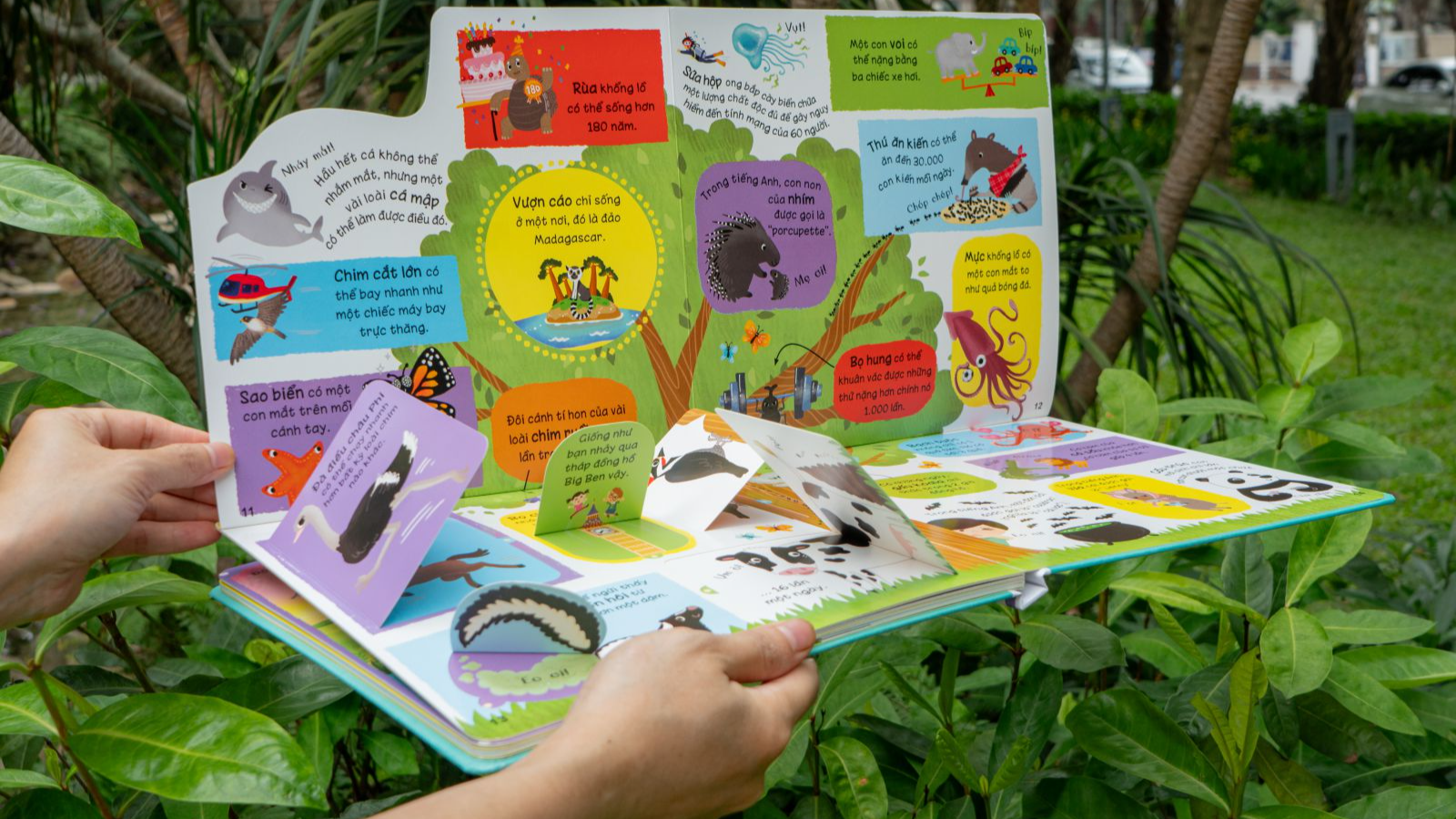 lift-the-flap - lật mở khám phá - những kiến thức đầu đời - những loài vật đáng kinh ngạc
