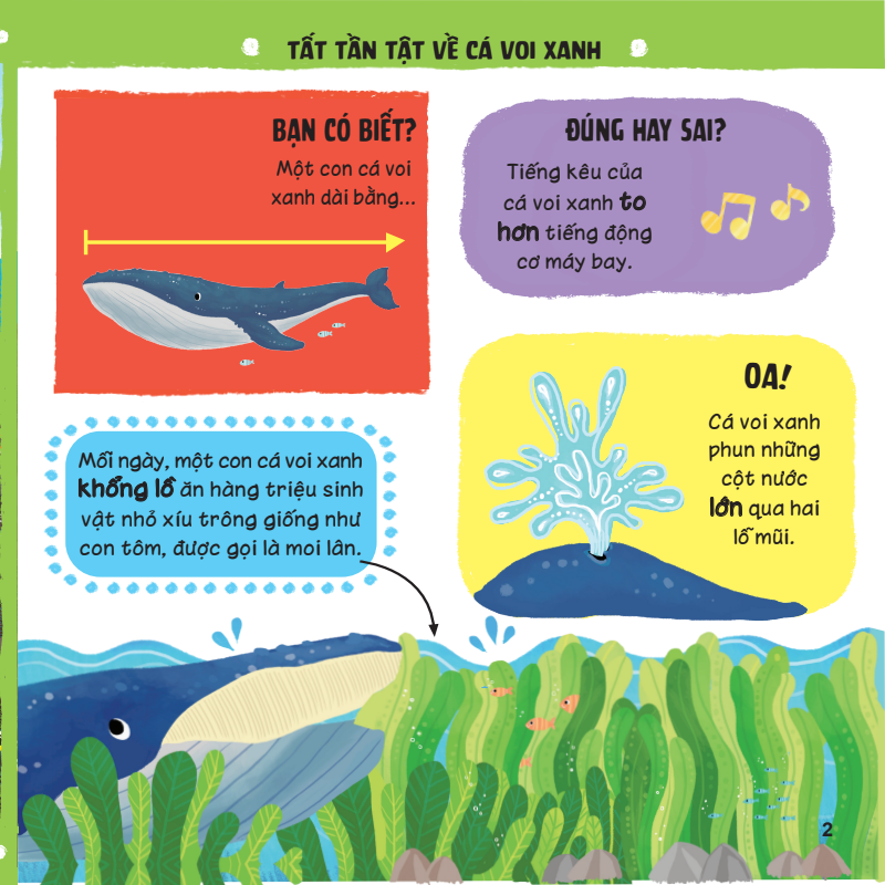 lift-the-flap - lật mở khám phá - những kiến thức đầu đời - những loài vật đáng kinh ngạc