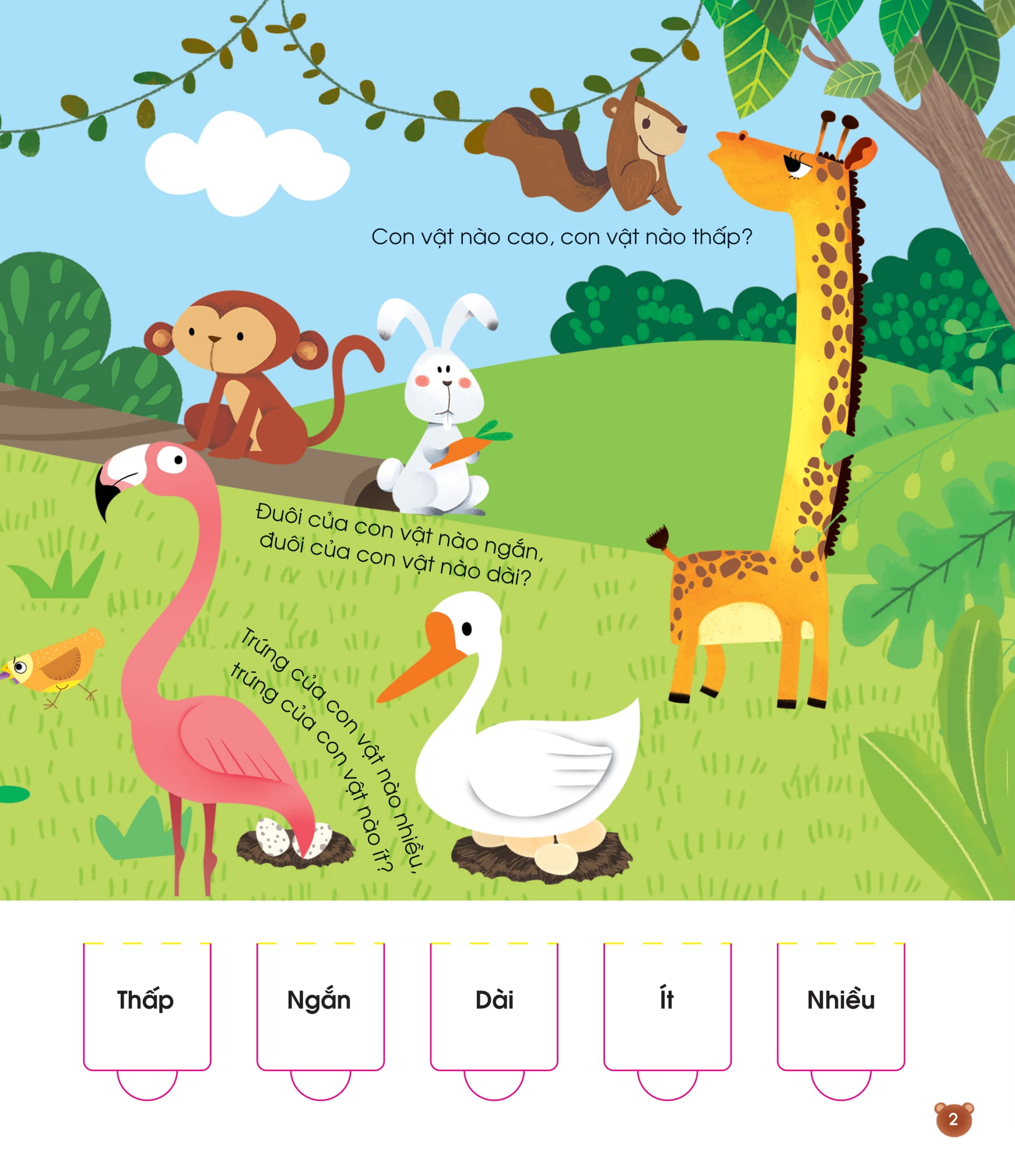 lift the flap - lật mở khám phá - so sánh