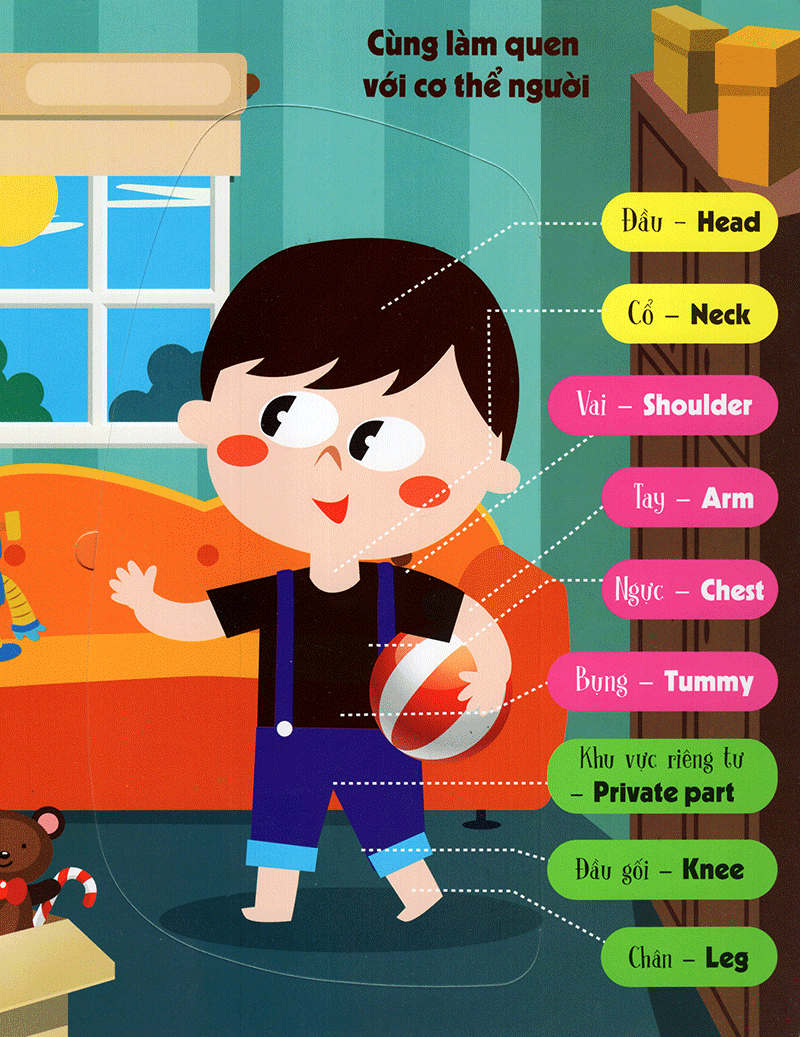 lift-the-flap - lật mở khám phá - the body - cơ thể người (tái bản 2018)