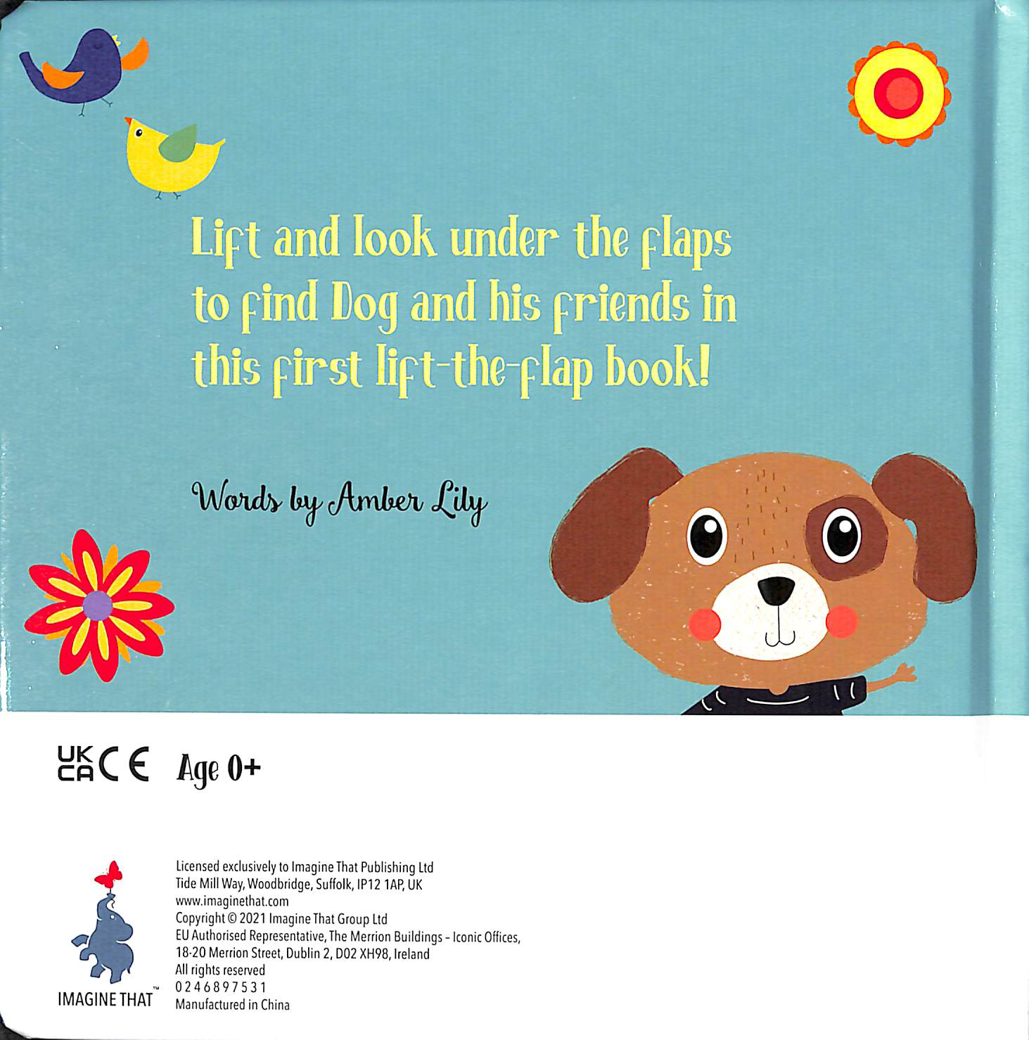 lift the flap - let's find dog