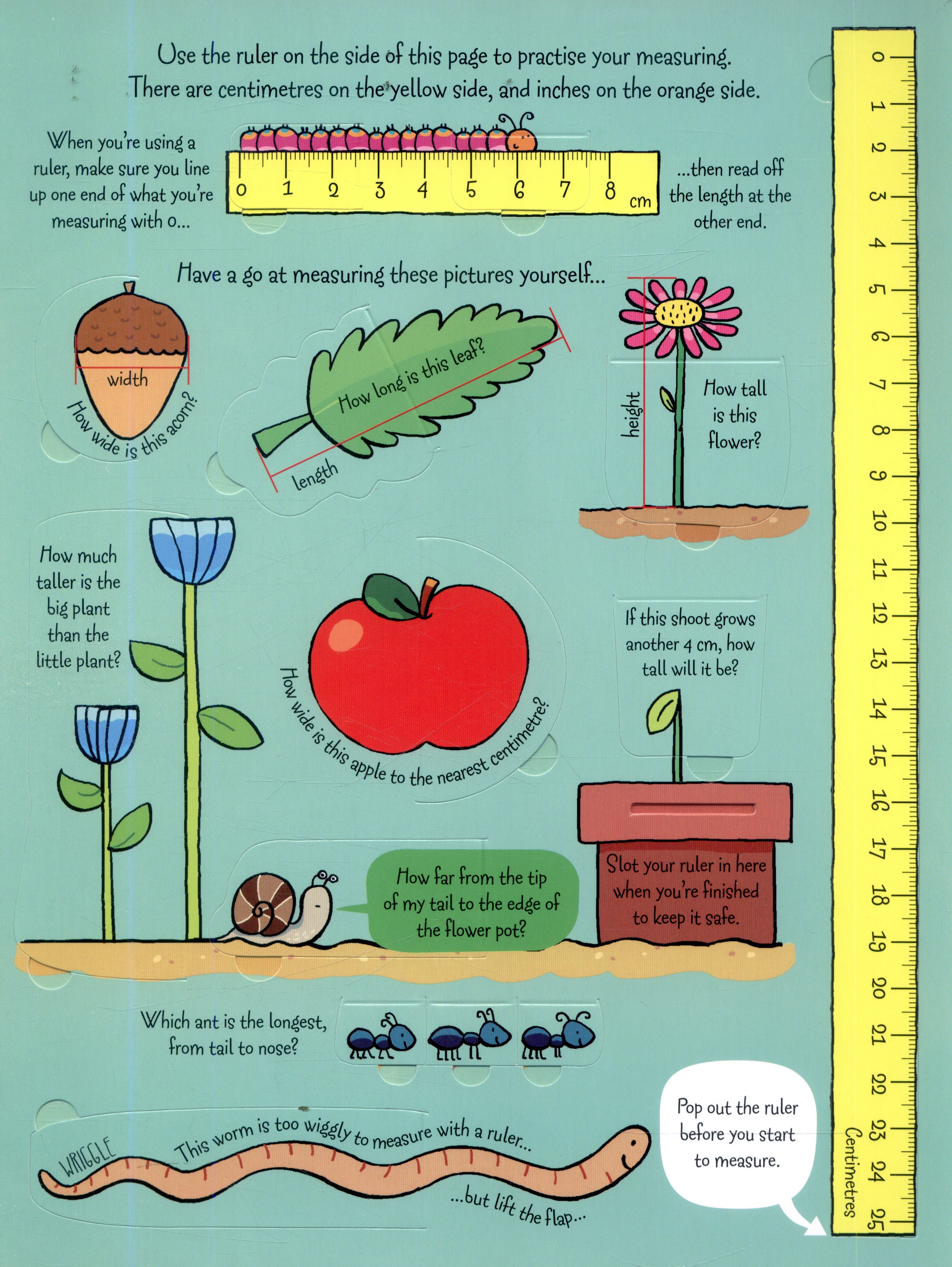 lift the flap - measuring things