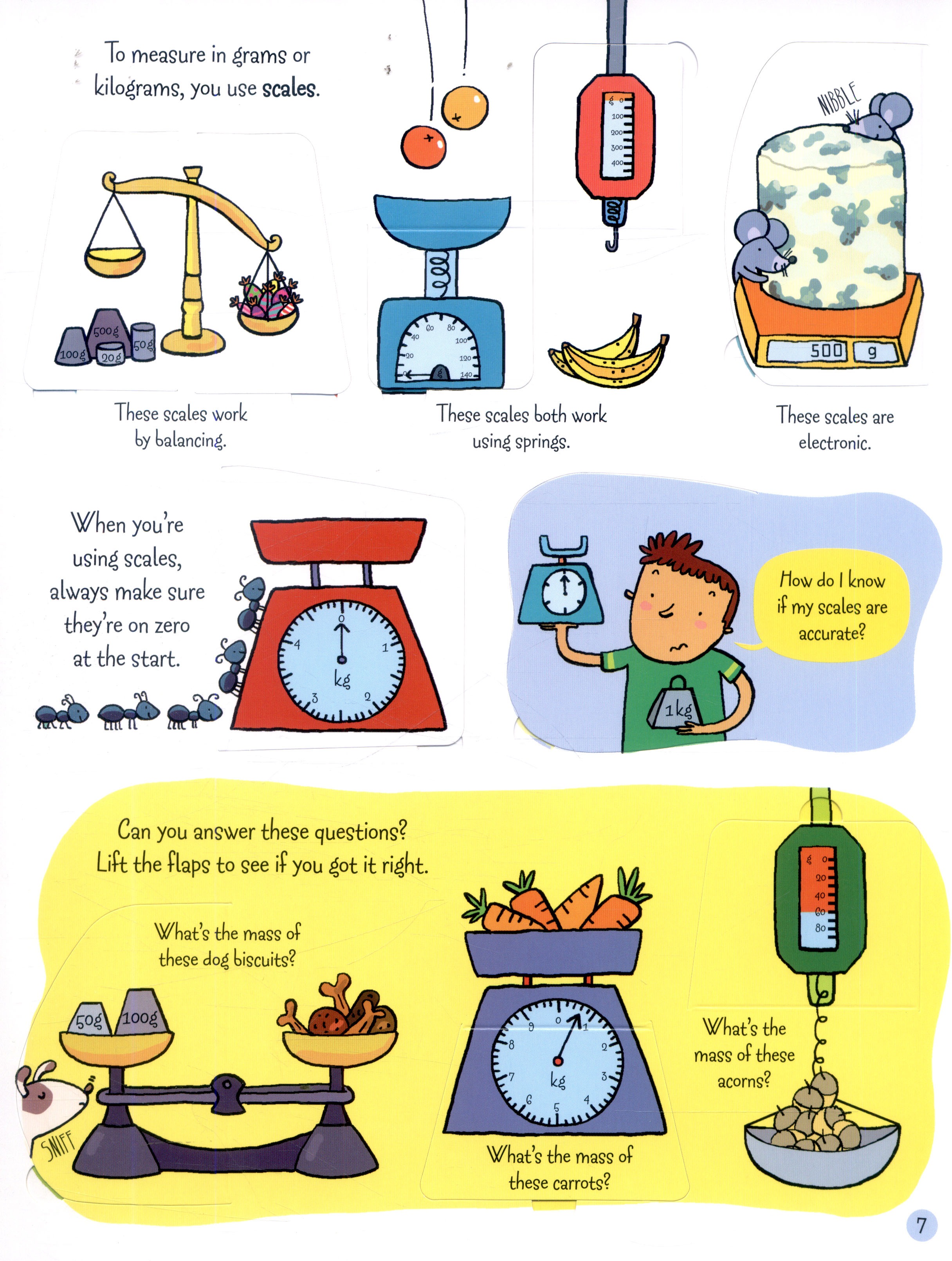 lift the flap - measuring things