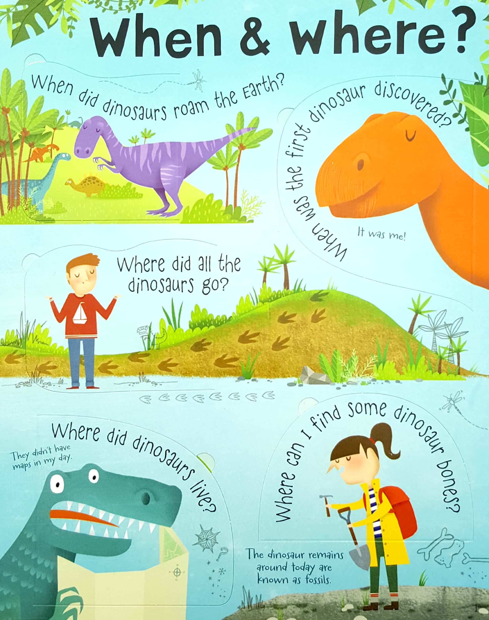lift-the-flap questions and answers about dinosaurs