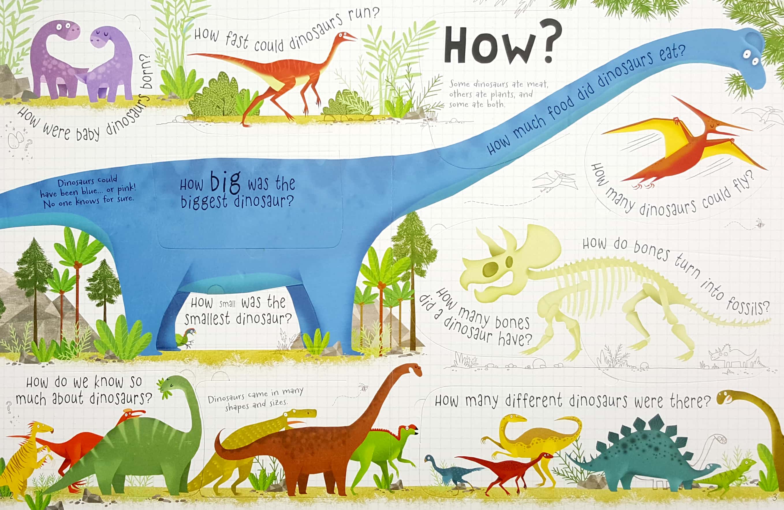 lift-the-flap questions and answers about dinosaurs