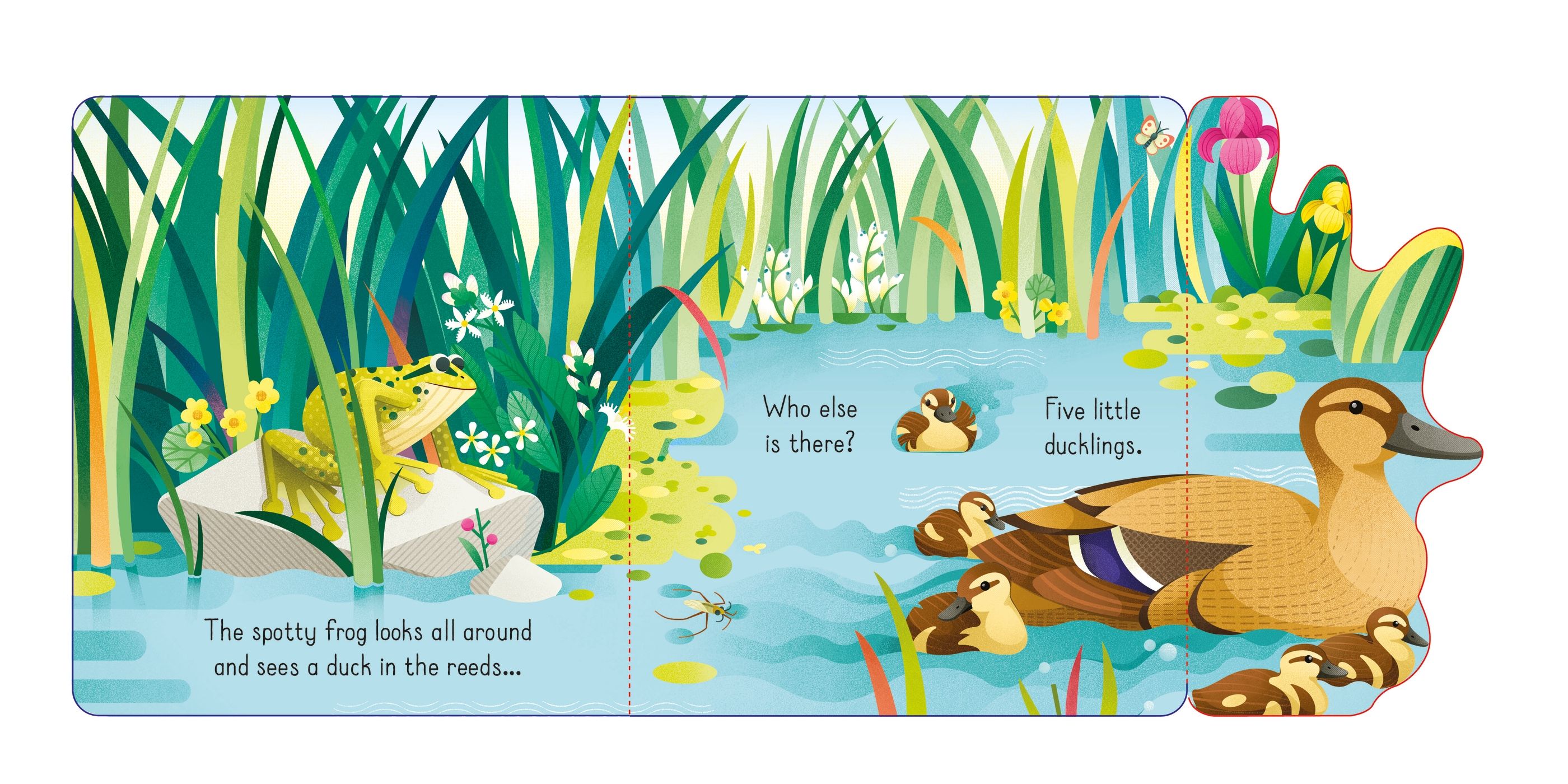 lift the flap spotty frog