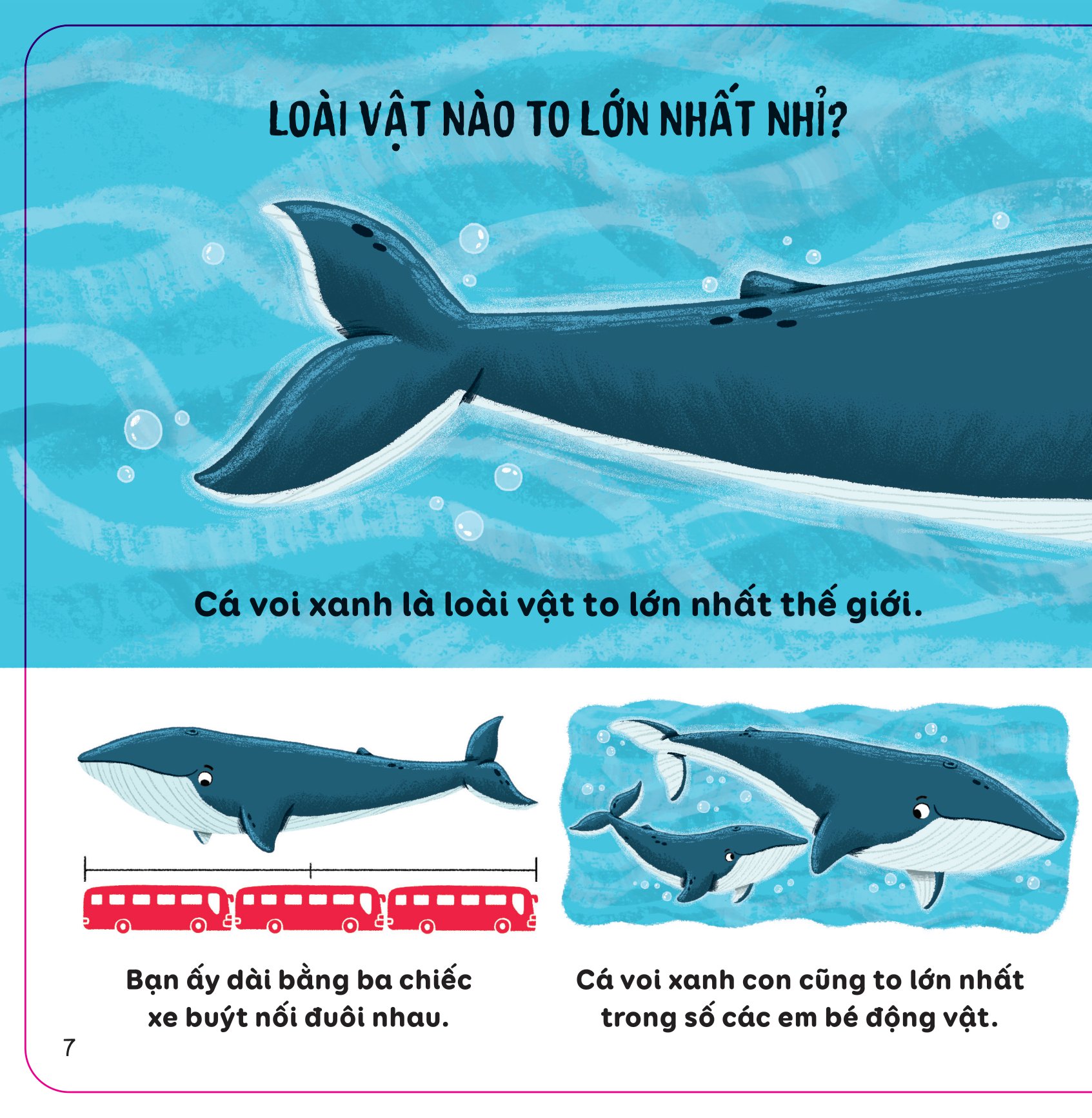 Lift-The-Flap - The Gioi Dong Vat - Bia Cung