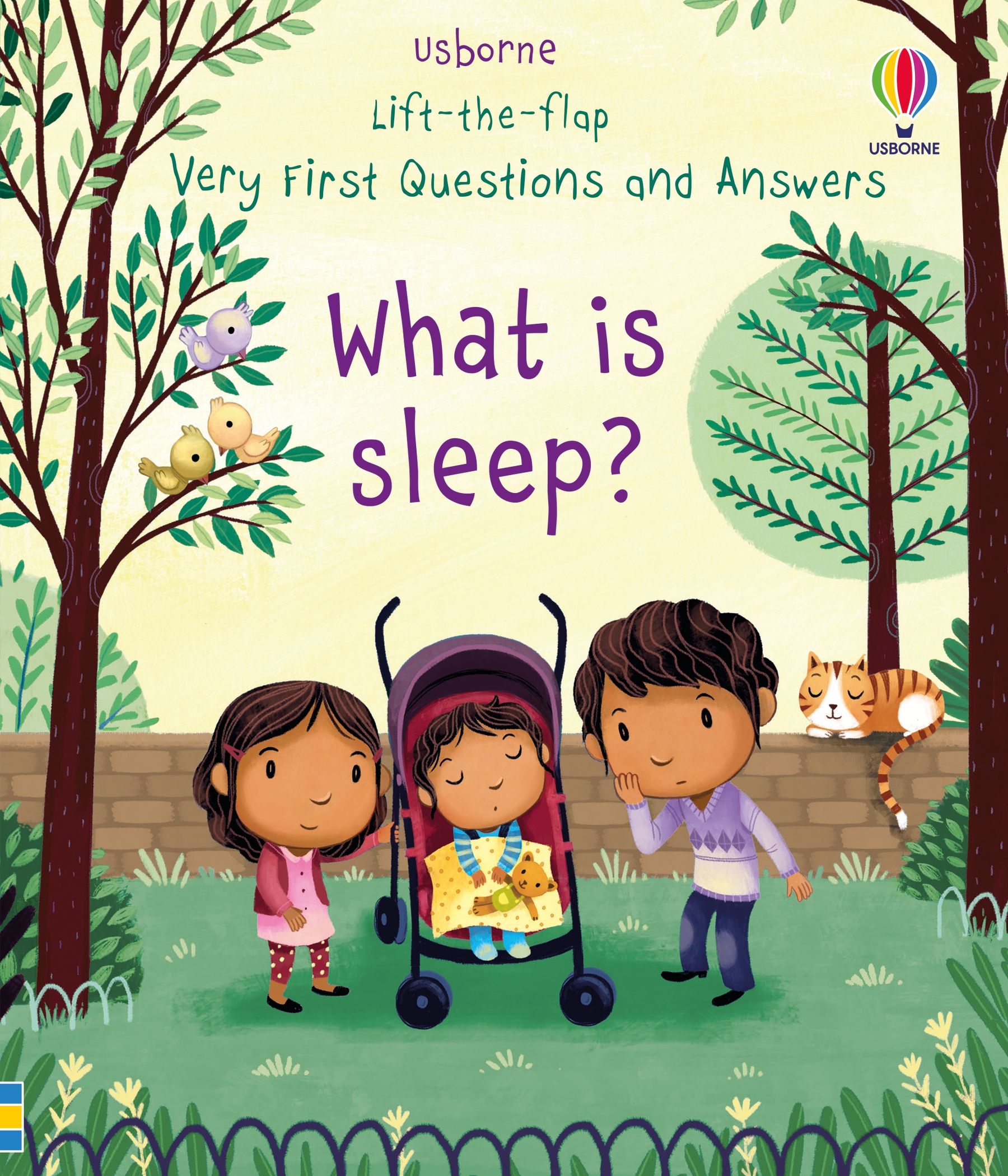 lift-the-flap very first questions and answers: what is sleep?