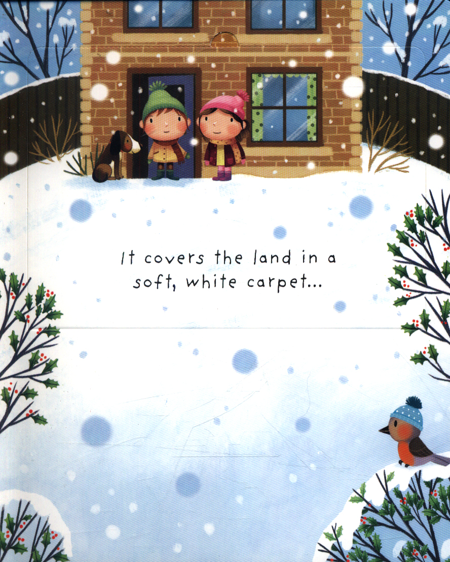 lift-the-flap very first questions and answers: what is snow?