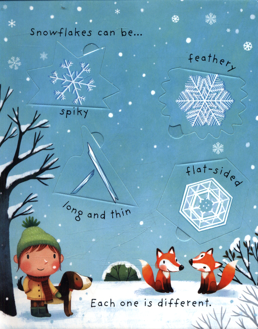 lift-the-flap very first questions and answers: what is snow?