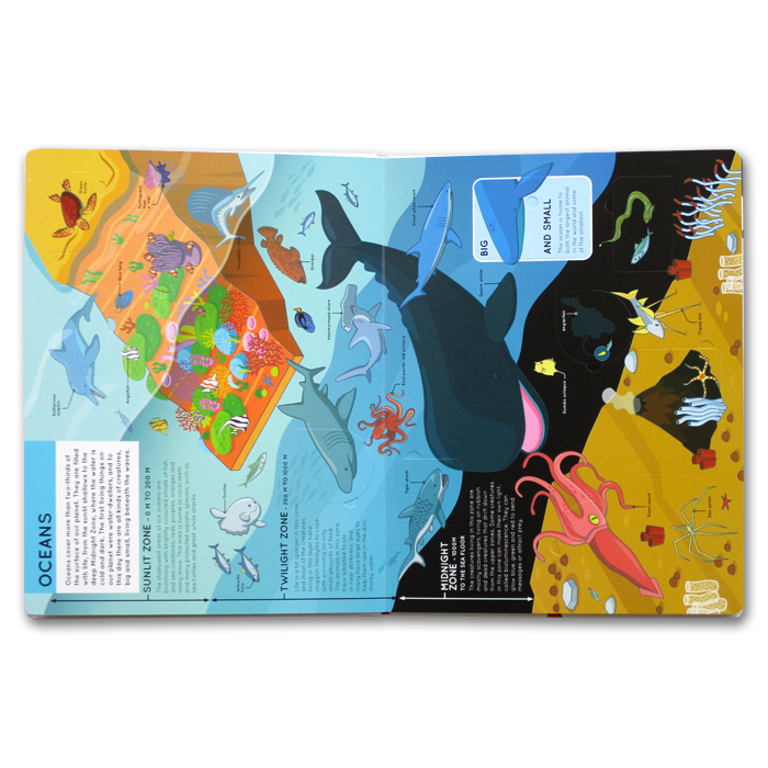 lift the flaps: animals