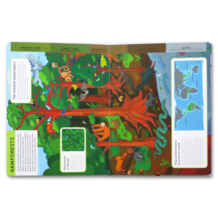 lift the flaps: animals