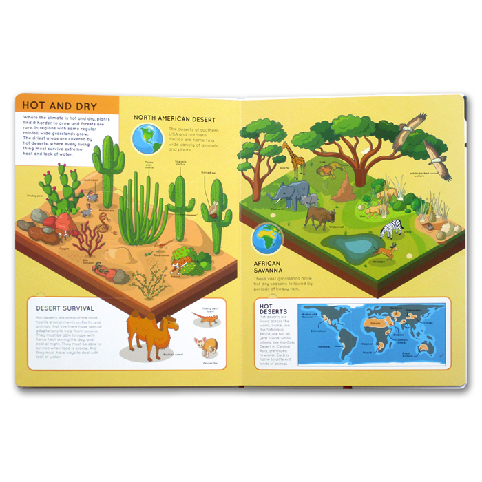 lift the flaps: animals