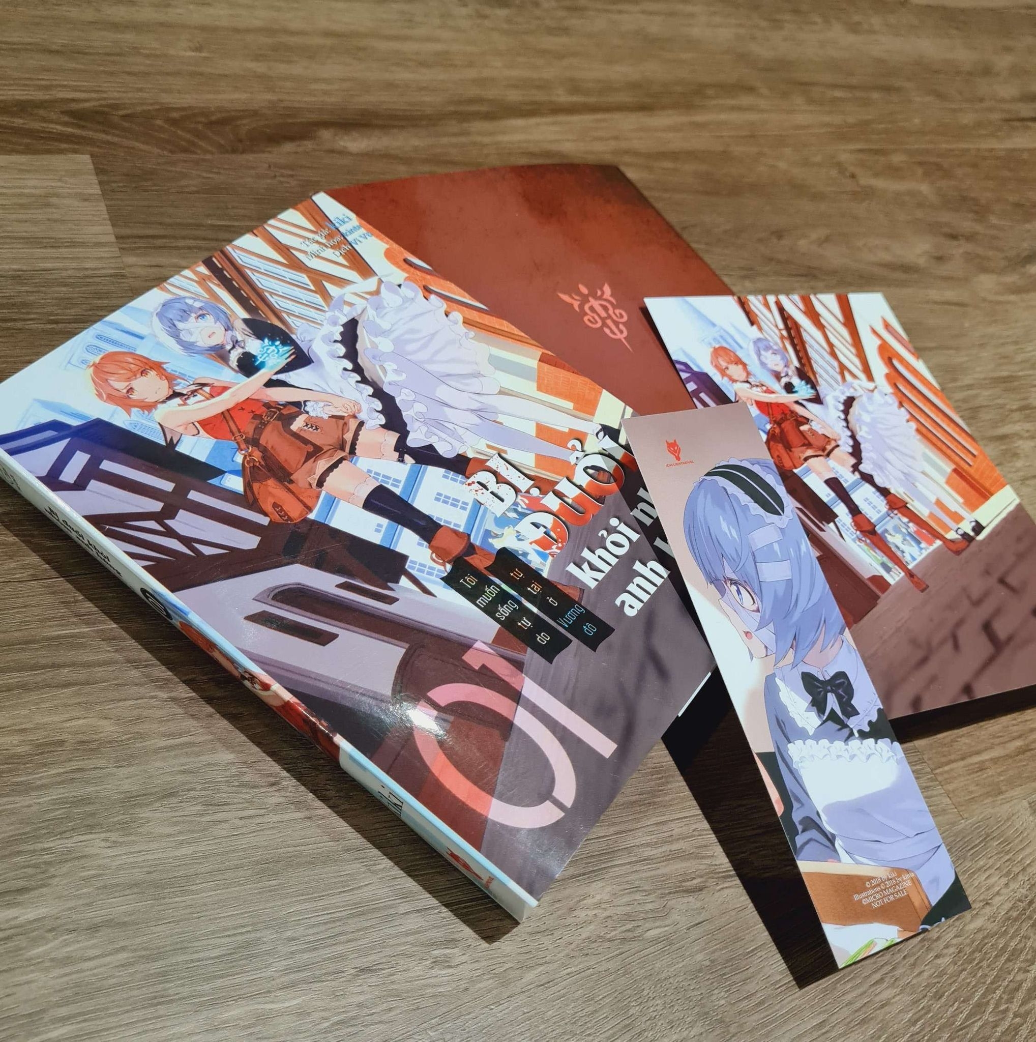 [Light Novel] Bi Duoi Khoi Nhom Anh Hung, Toi Muon Song Tu Do Tu Tai O Vuong Do - Ban Dac Biet - Tang Kem Bookmark + Postcard