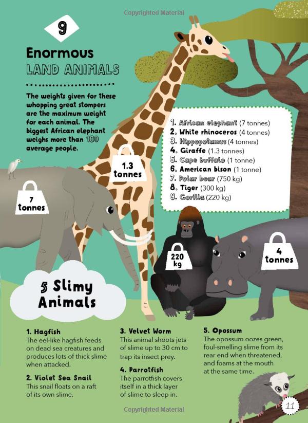 lists for curious kids: 263 fun, fascinating and fact-filled lists (curious lists)