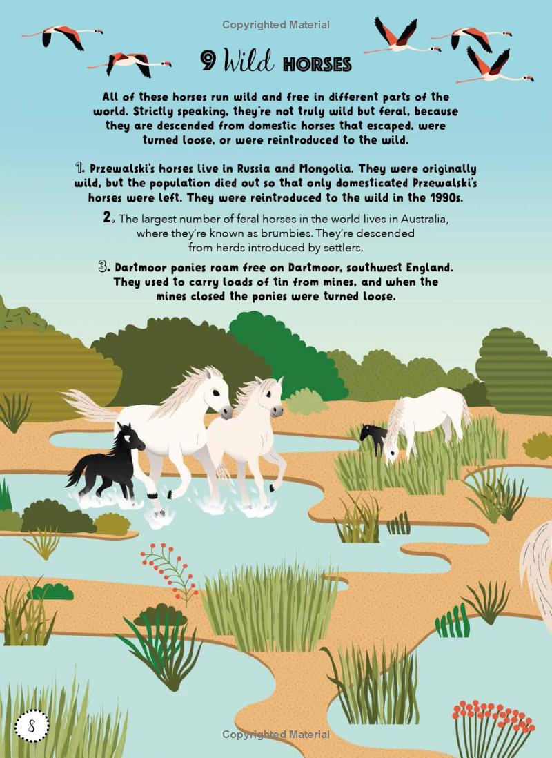 lists for curious kids - animals