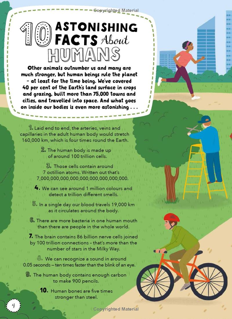 lists for curious kids - human body