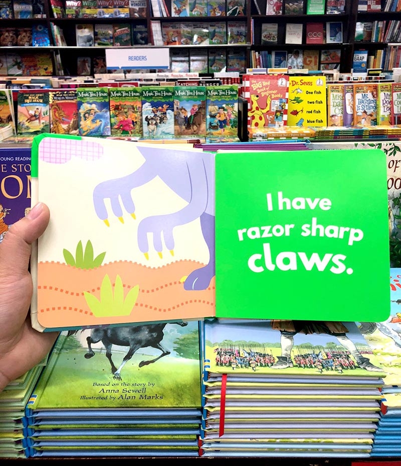 little beginners fold out dino