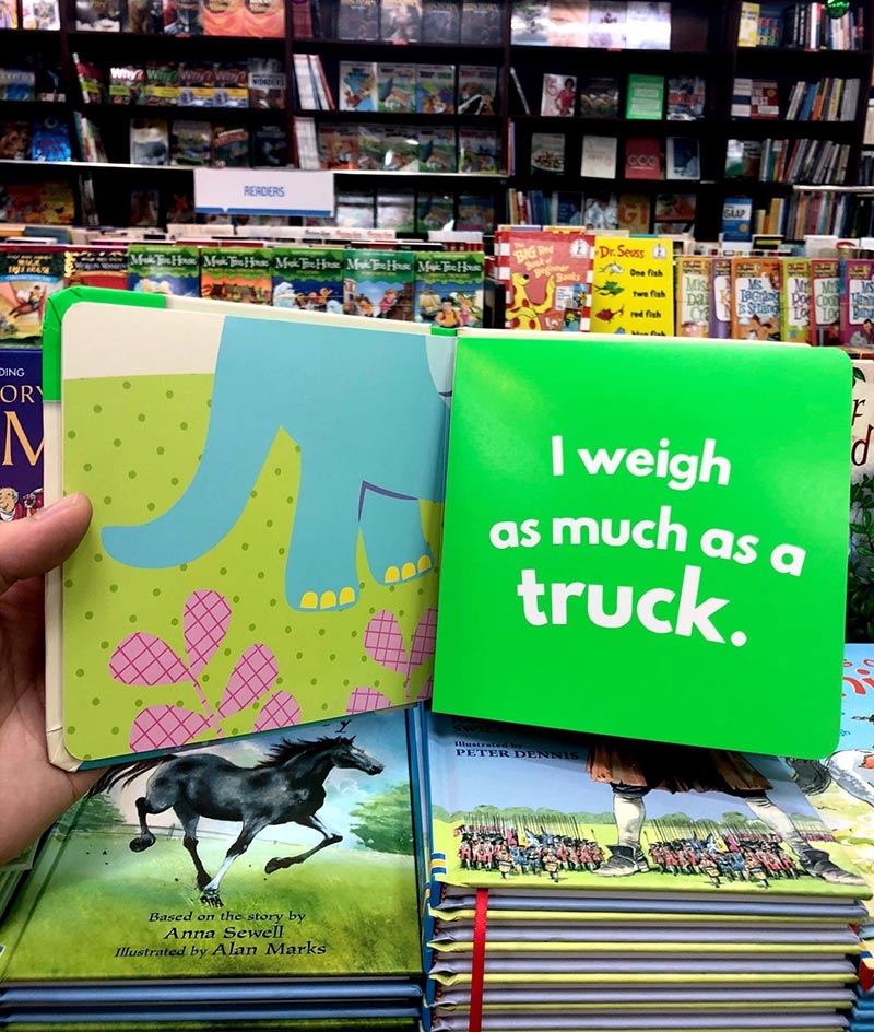 little beginners fold out dino