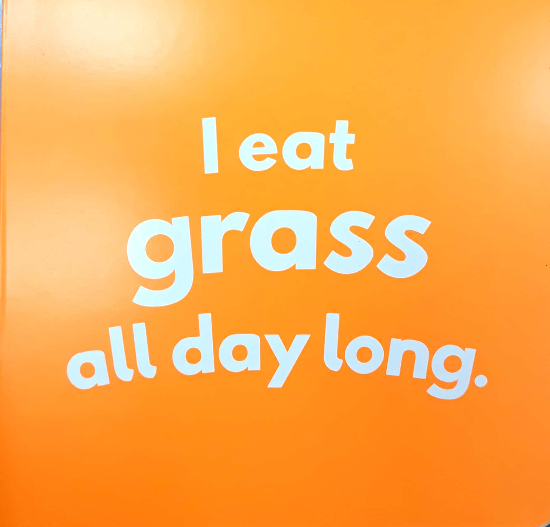 little beginners fold out farm