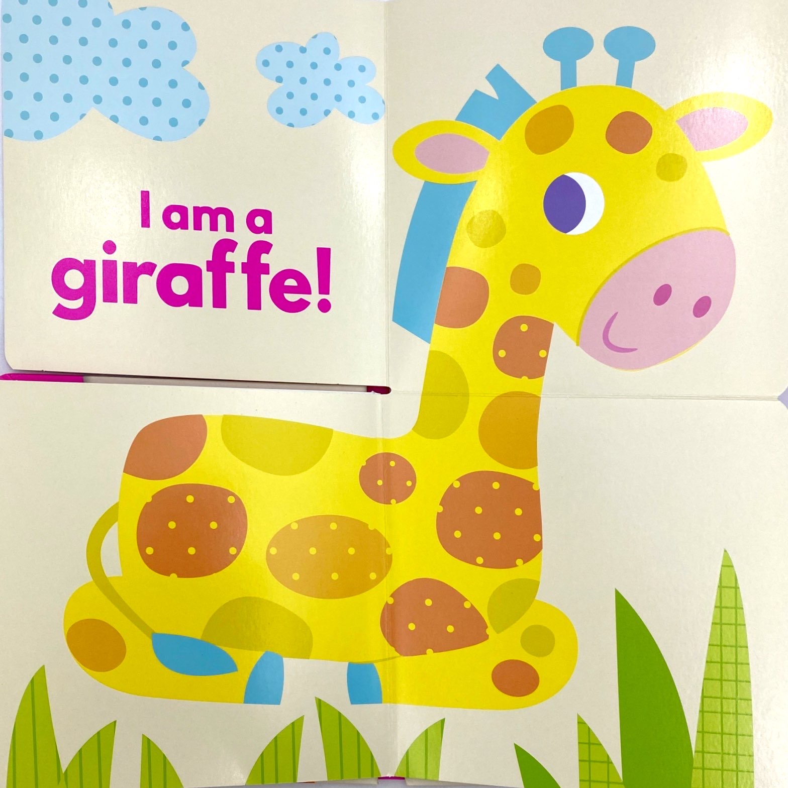 little beginners fold out safr