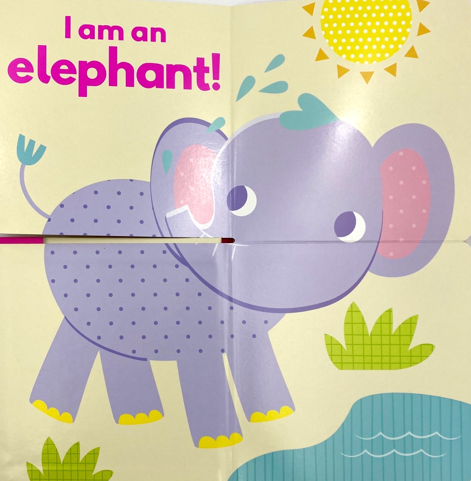 little beginners fold out safr