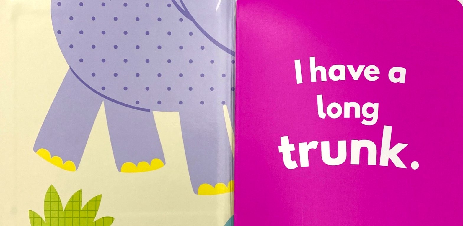 little beginners fold out safr