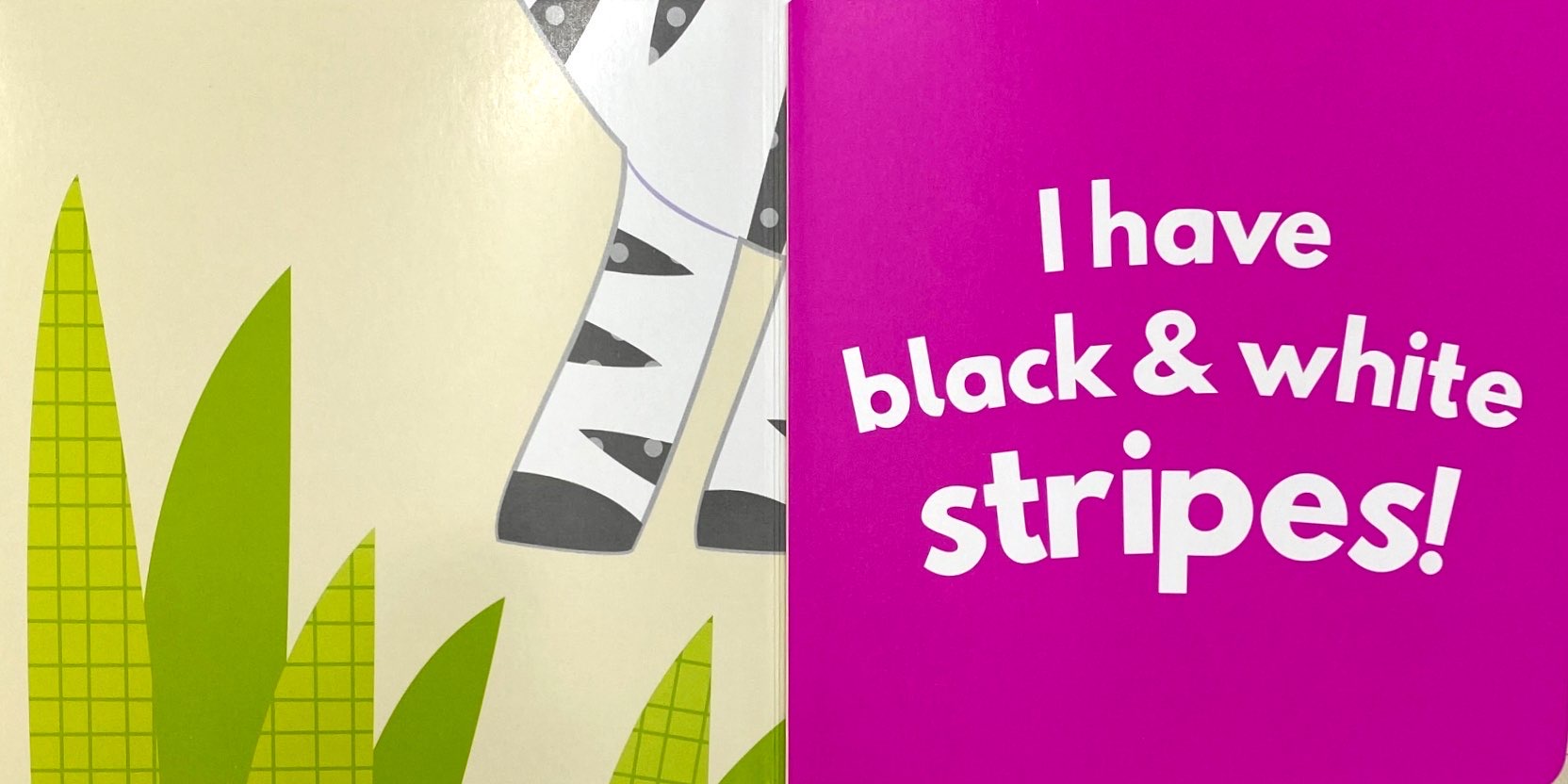 little beginners fold out safr