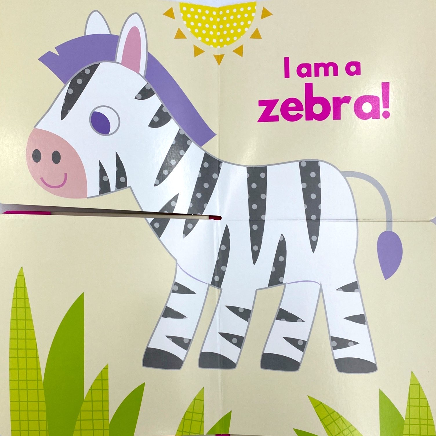 little beginners fold out safr