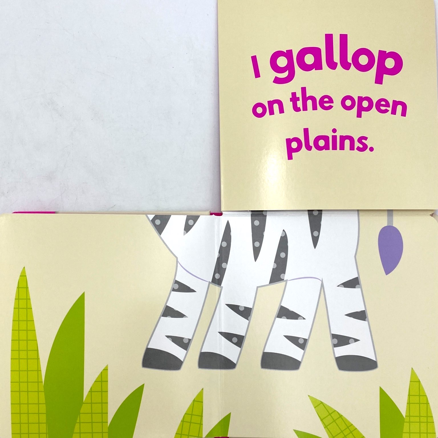 little beginners fold out safr