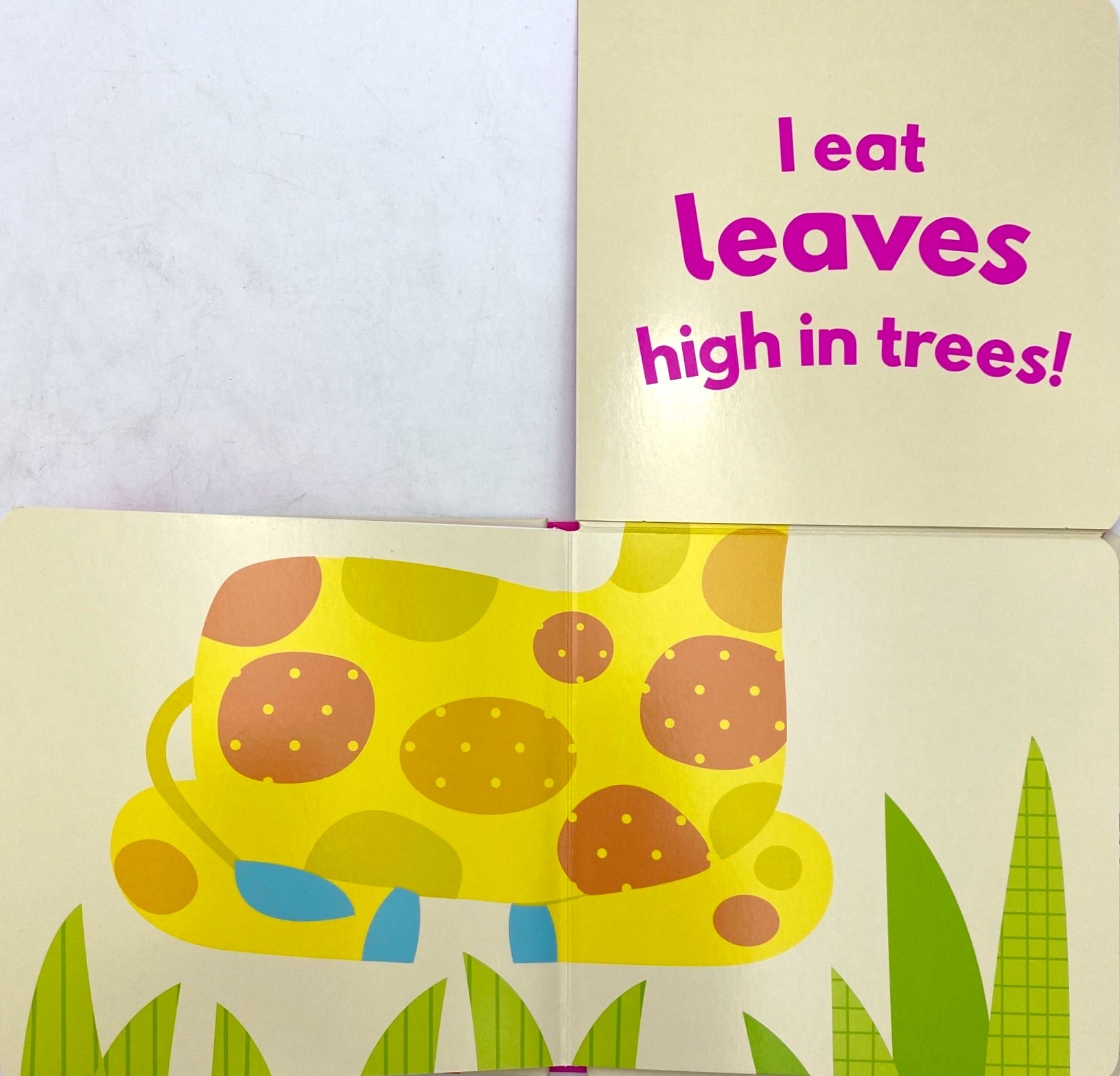 little beginners fold out safr