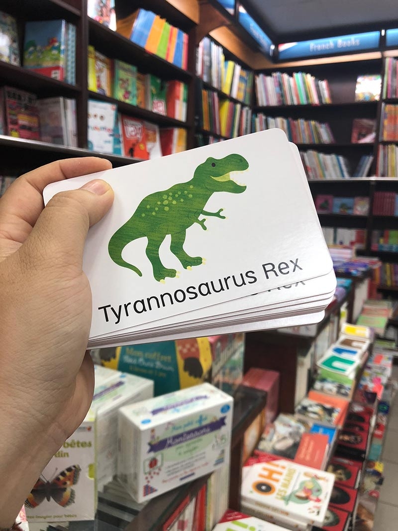 little genius card dino snap